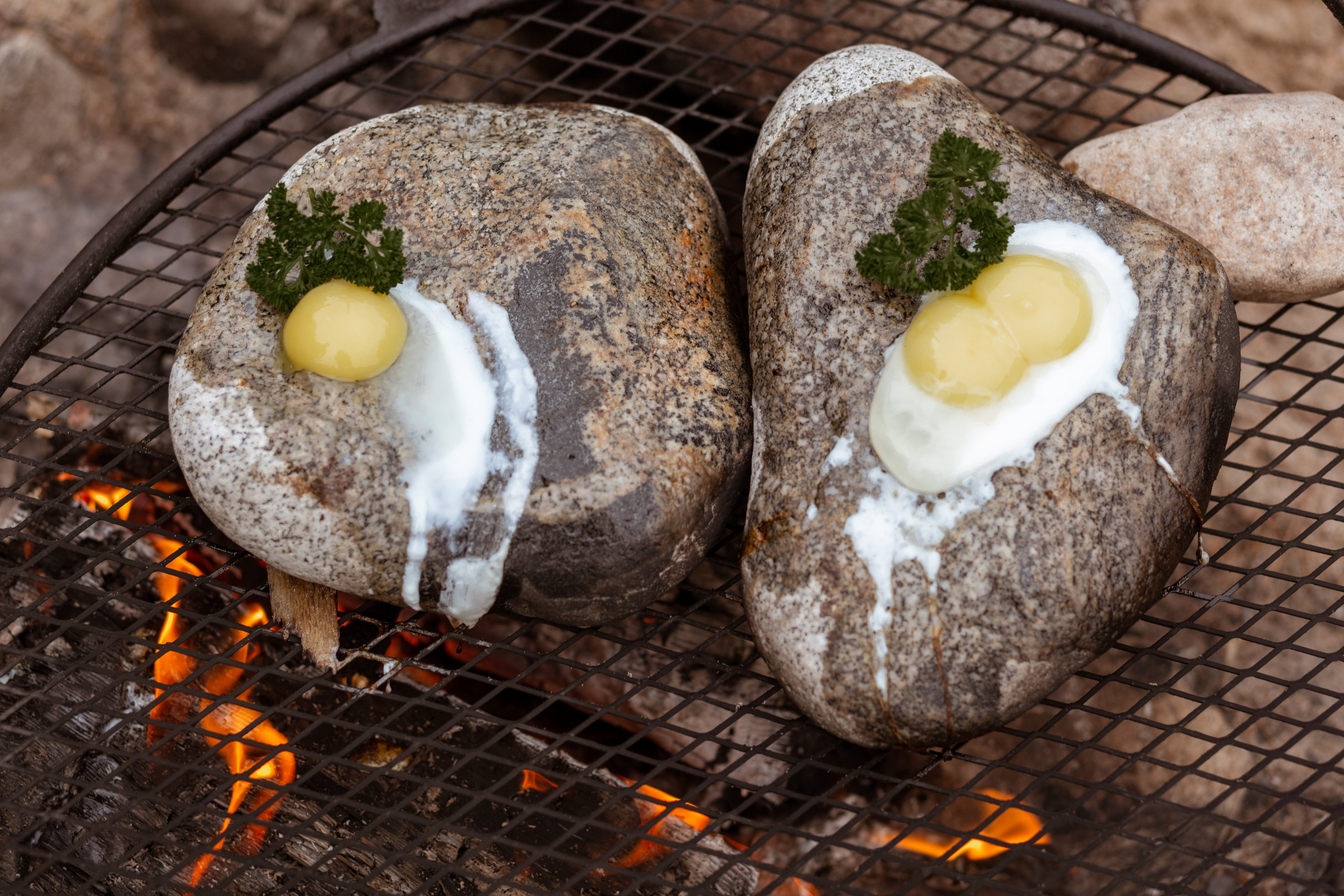 Happy Nerpa. Фотостудия рекламной, коммерческой съемки в Улан-Удэ