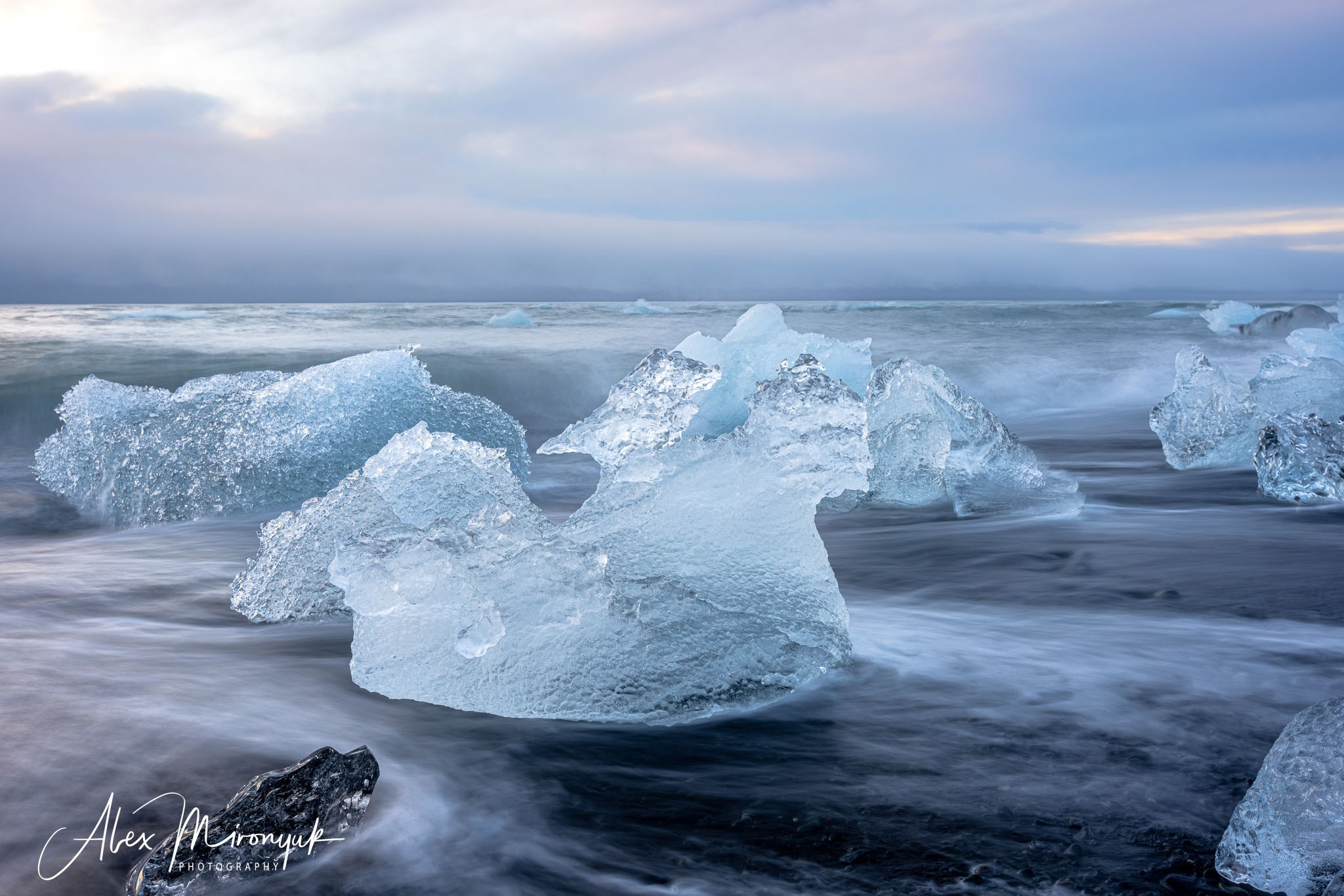 Unforgettable Iceland. Pet, Senior, Landscape, portrait studio, photographer in Miami and Sou