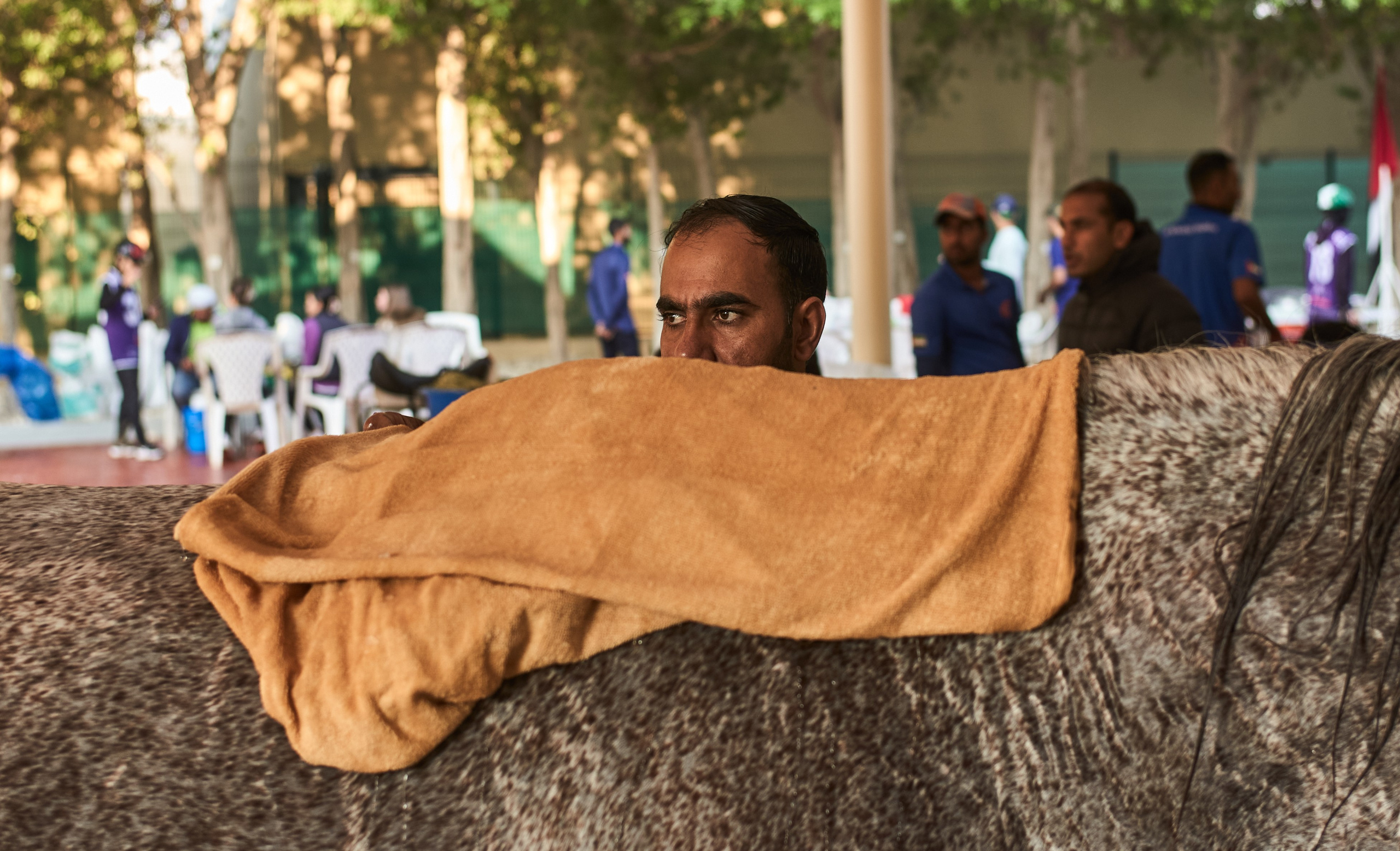 ENDURANCE HORSE RACING. Grigoriy Yaroshenko photography | Фотограф Григорий Ярошенко