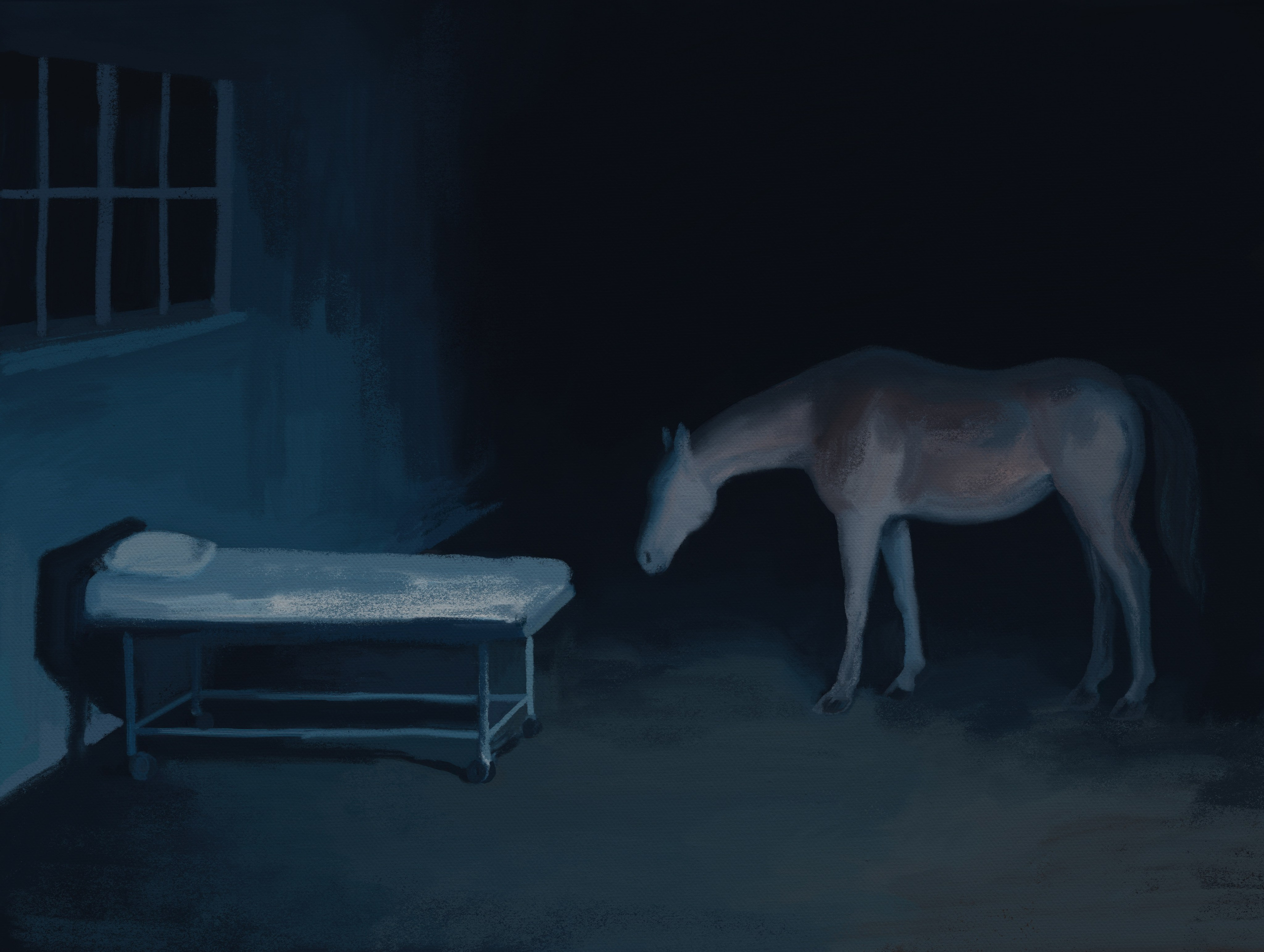 Horse Hospital. Marina Antonova
