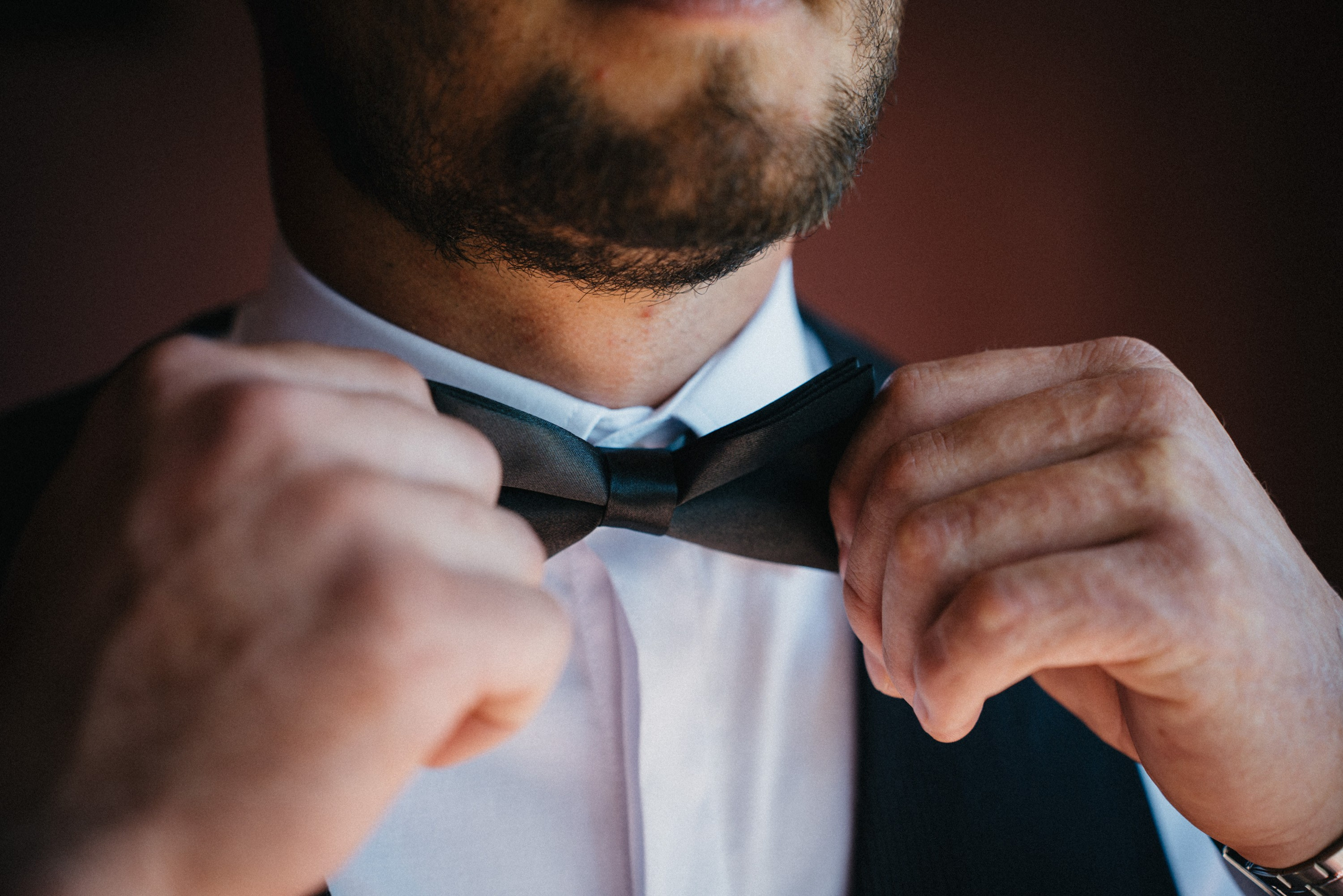 Bojana & Dragan. Wedding photography