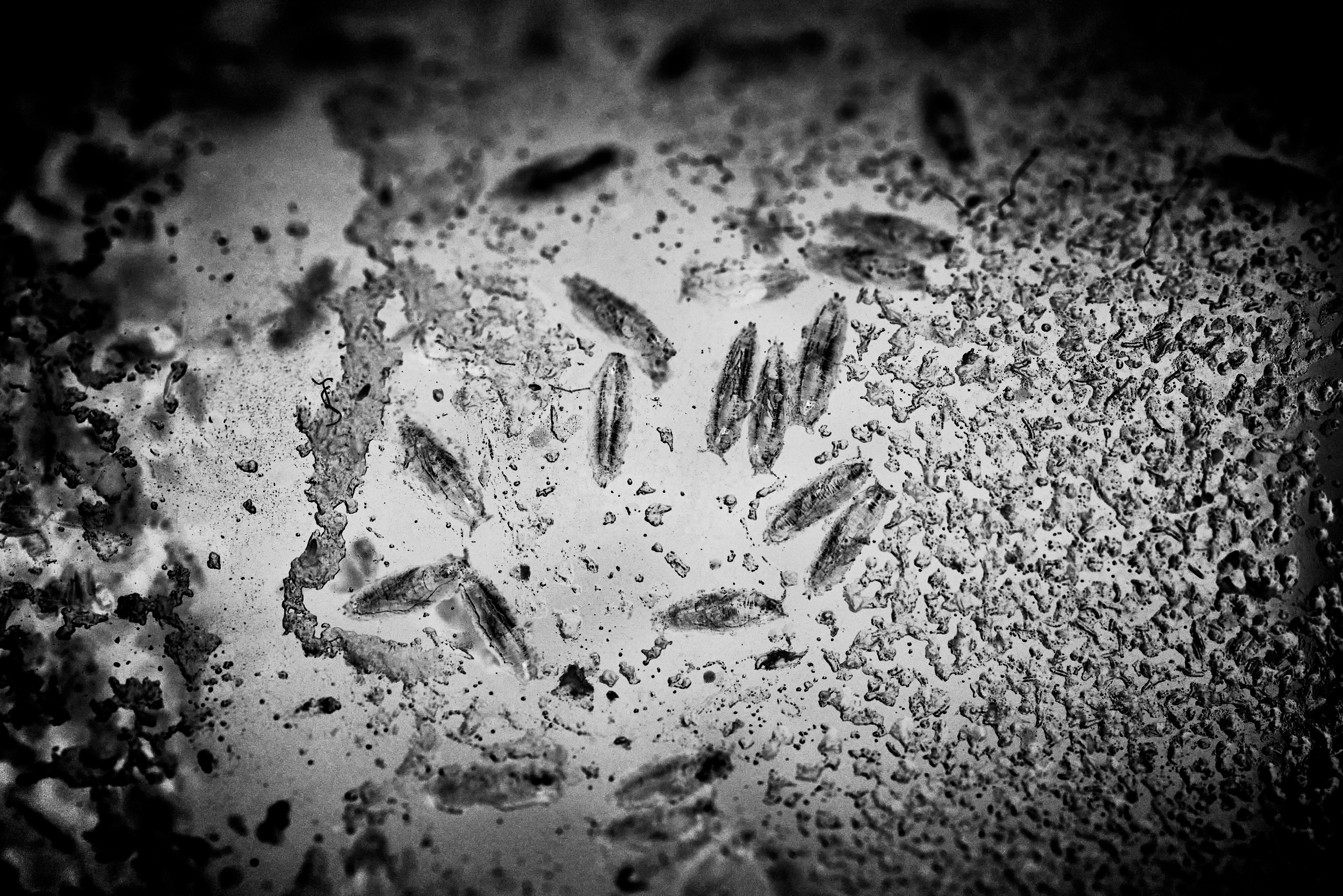 Immortality. GLISH ART — Timofey Glinin & Anastasia Shubina