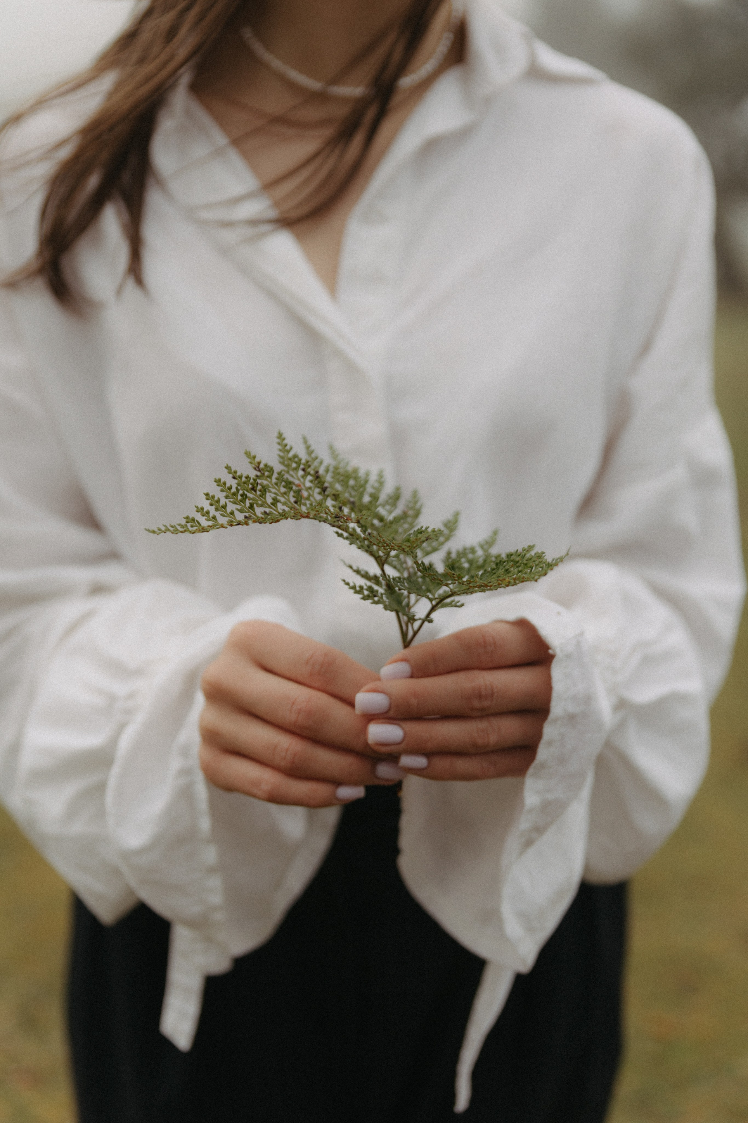 Magic of Fanal Forest. Wedding photographer and videographer based in Timisoara, Romania