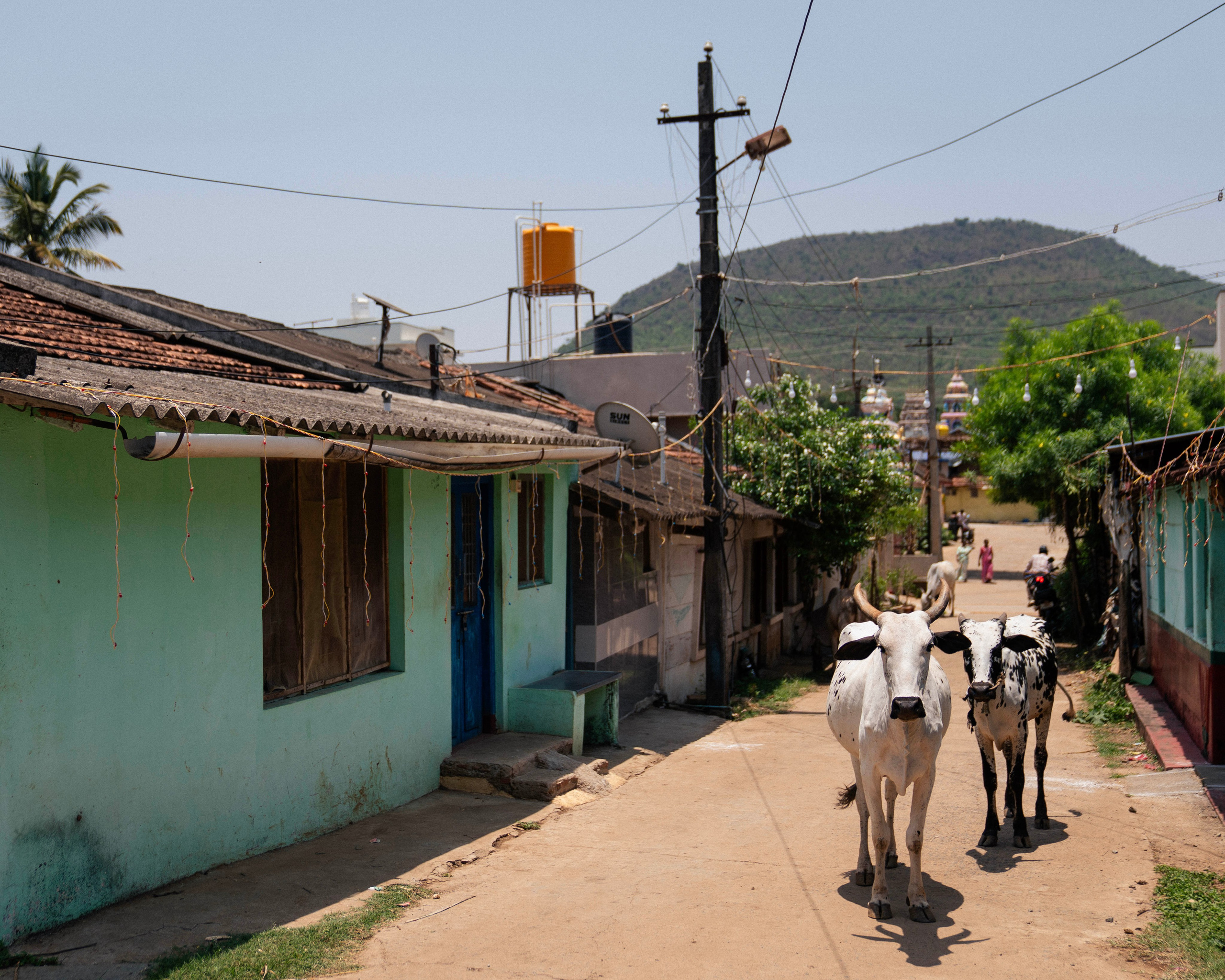 The festival a small village has held every summer since 1962. Truly Yours | Documentary Wedding Photography & Films | Sharath Padaru, Bangalore