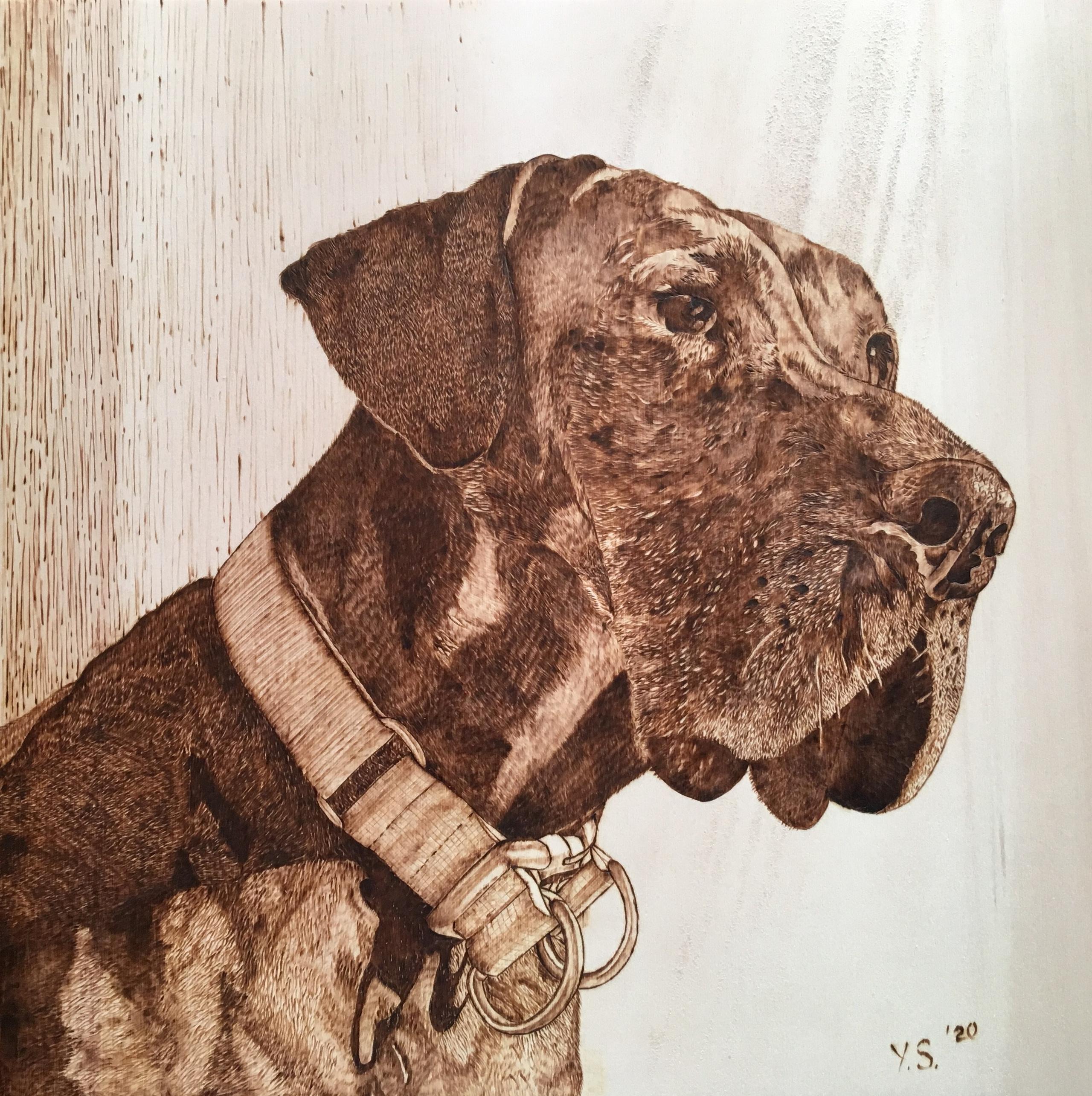 Slike po naročilu. Numerologija. Nevrografika. Delavnice