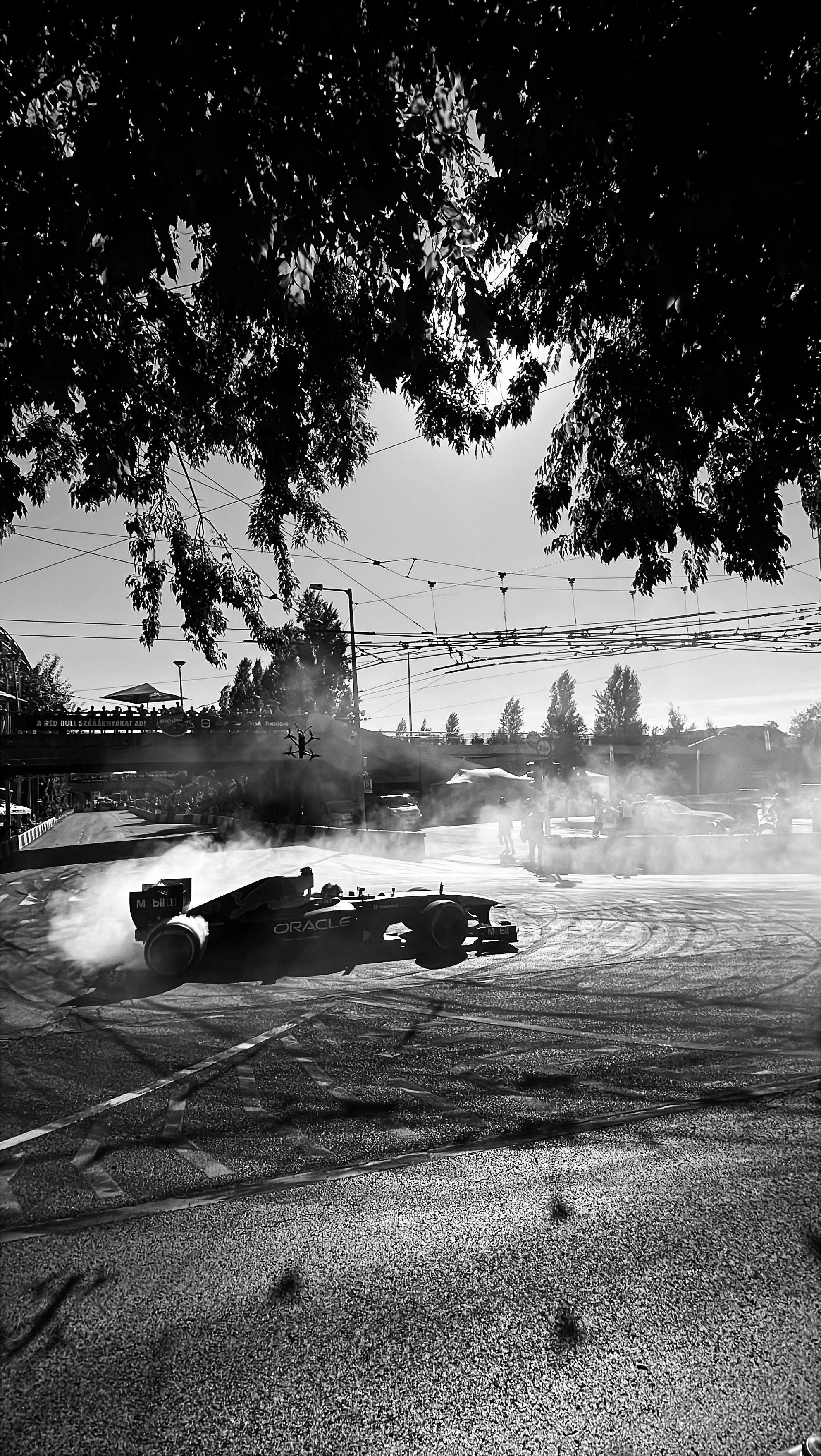 David Coulthard| Red Bull Showrun Budapest 2025