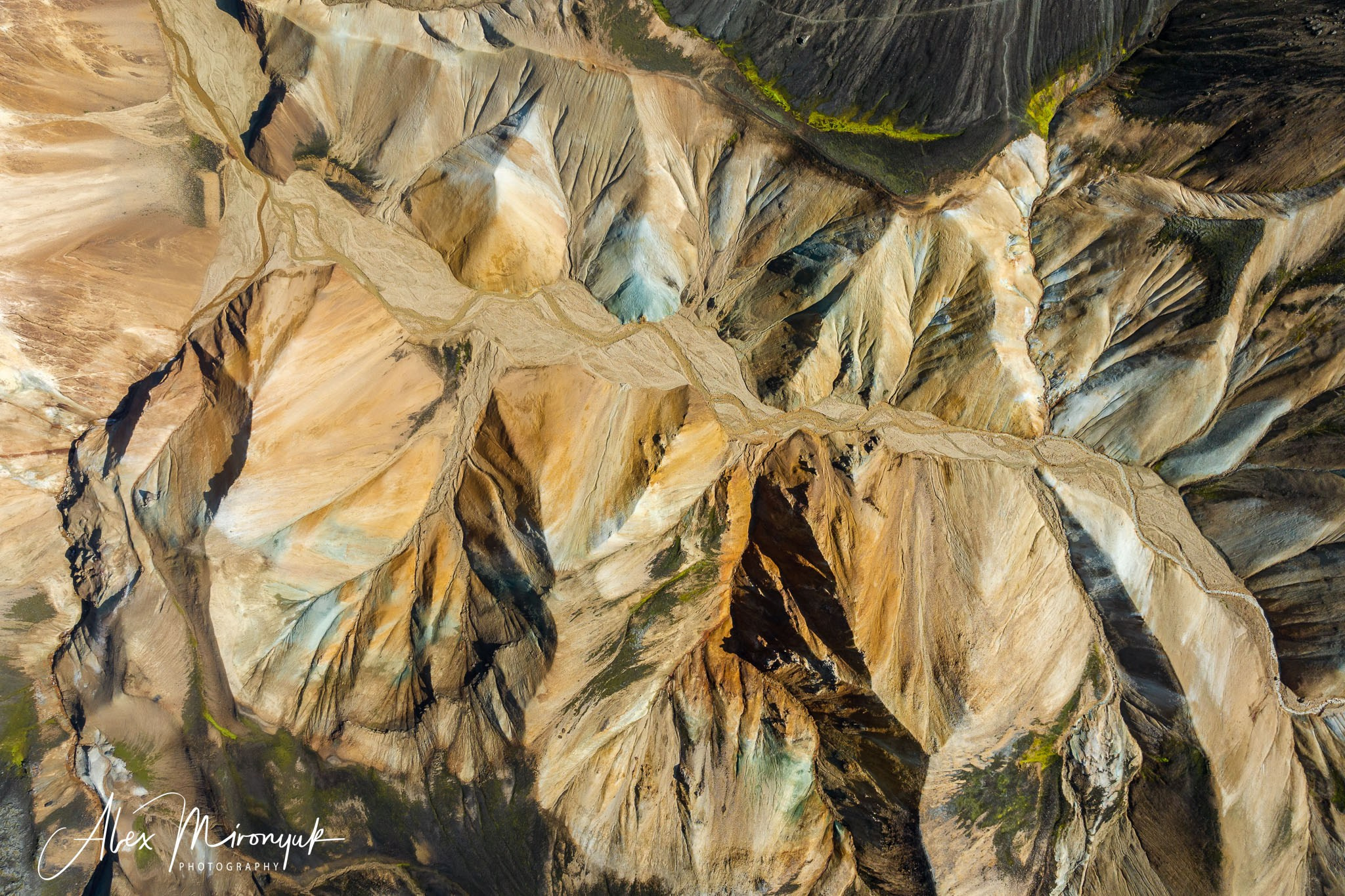 Unforgettable Iceland. Pet, Senior, Landscape, portrait studio, photographer in Miami and Sou