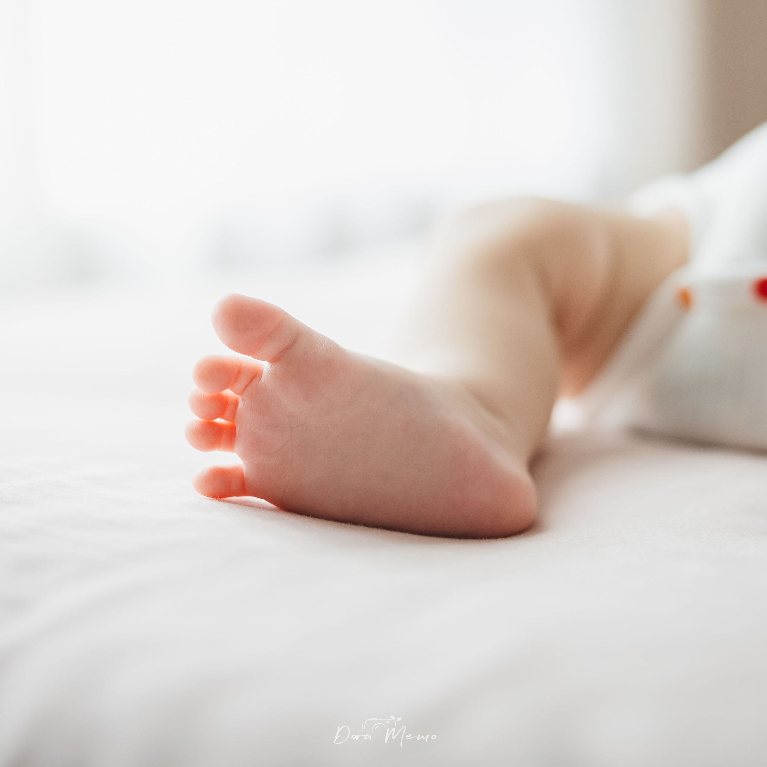 Close-up of a baby's tiny feet in soft natural light during a 100-day photo session.
