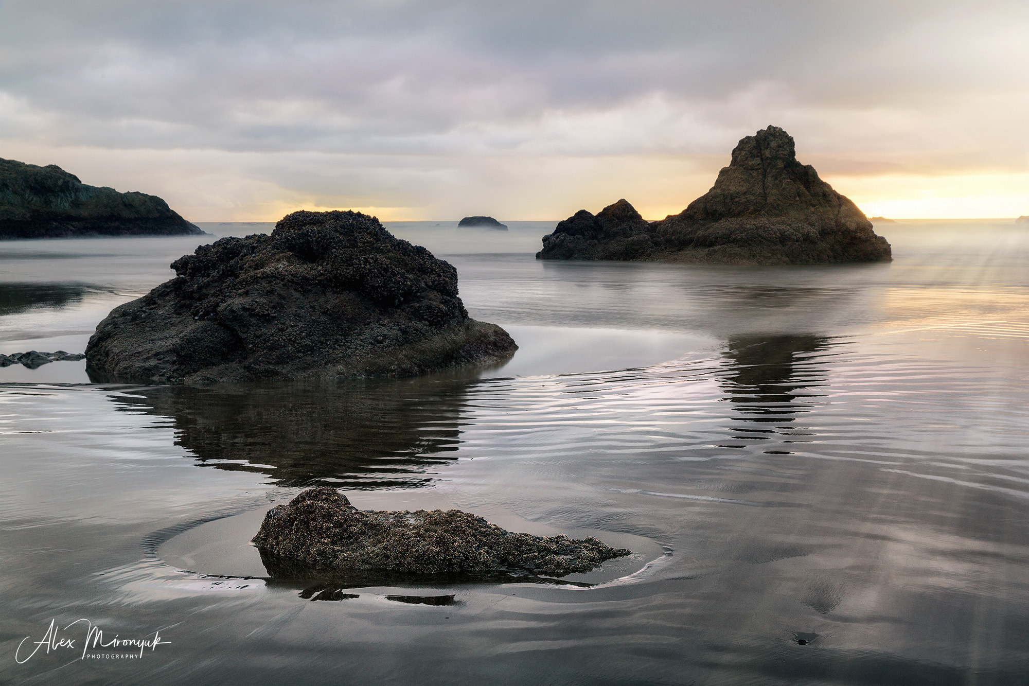 Oregon Coast Photo Workshop. Pet, Senior, Landscape, portrait studio, photographer in Miami and Sou