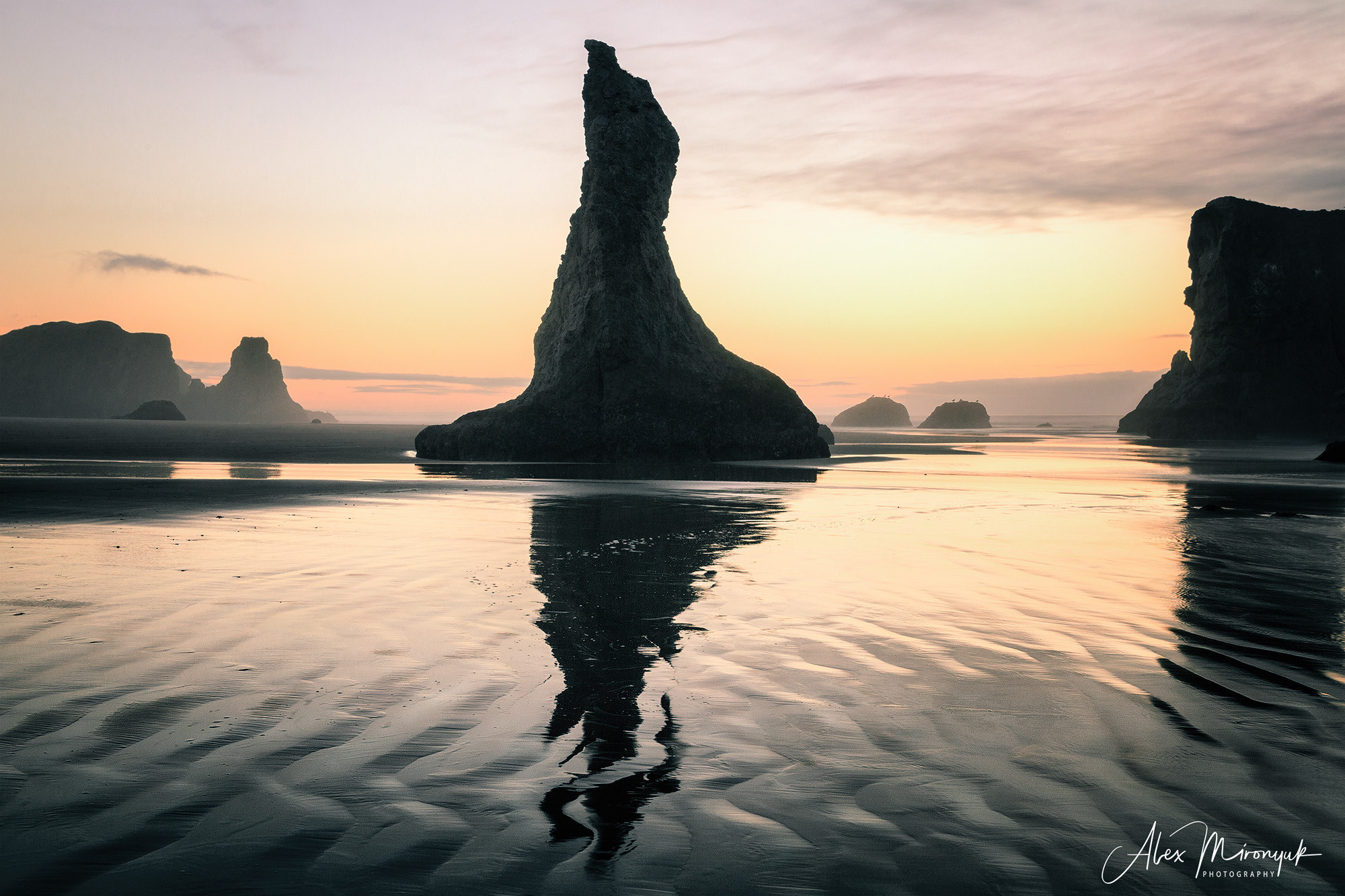 Oregon Coast Photo Workshop. Pet, Senior, Landscape, portrait studio, photographer in Miami and Sou