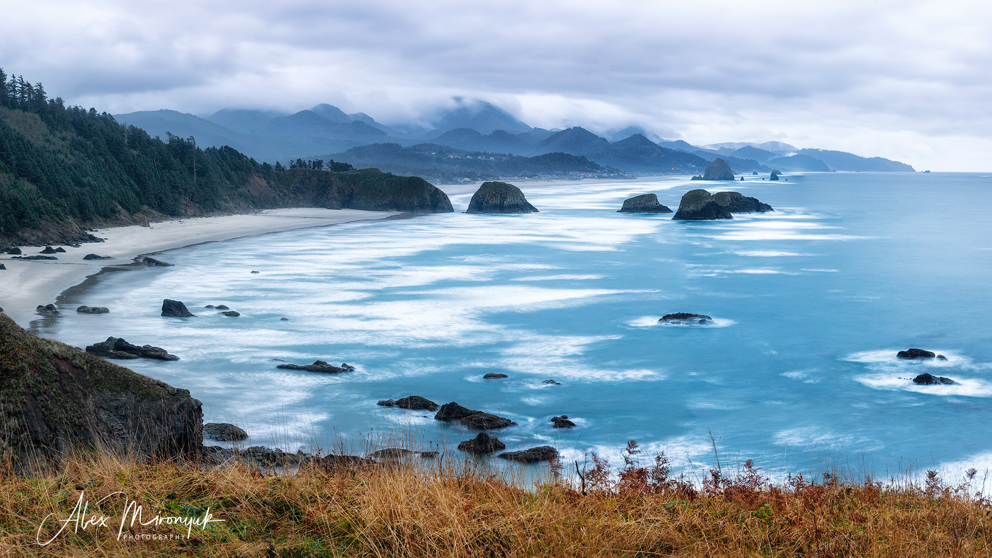 Oregon Coast Photo Workshop. Pet, Senior, Landscape, portrait studio, photographer in Miami and Sou