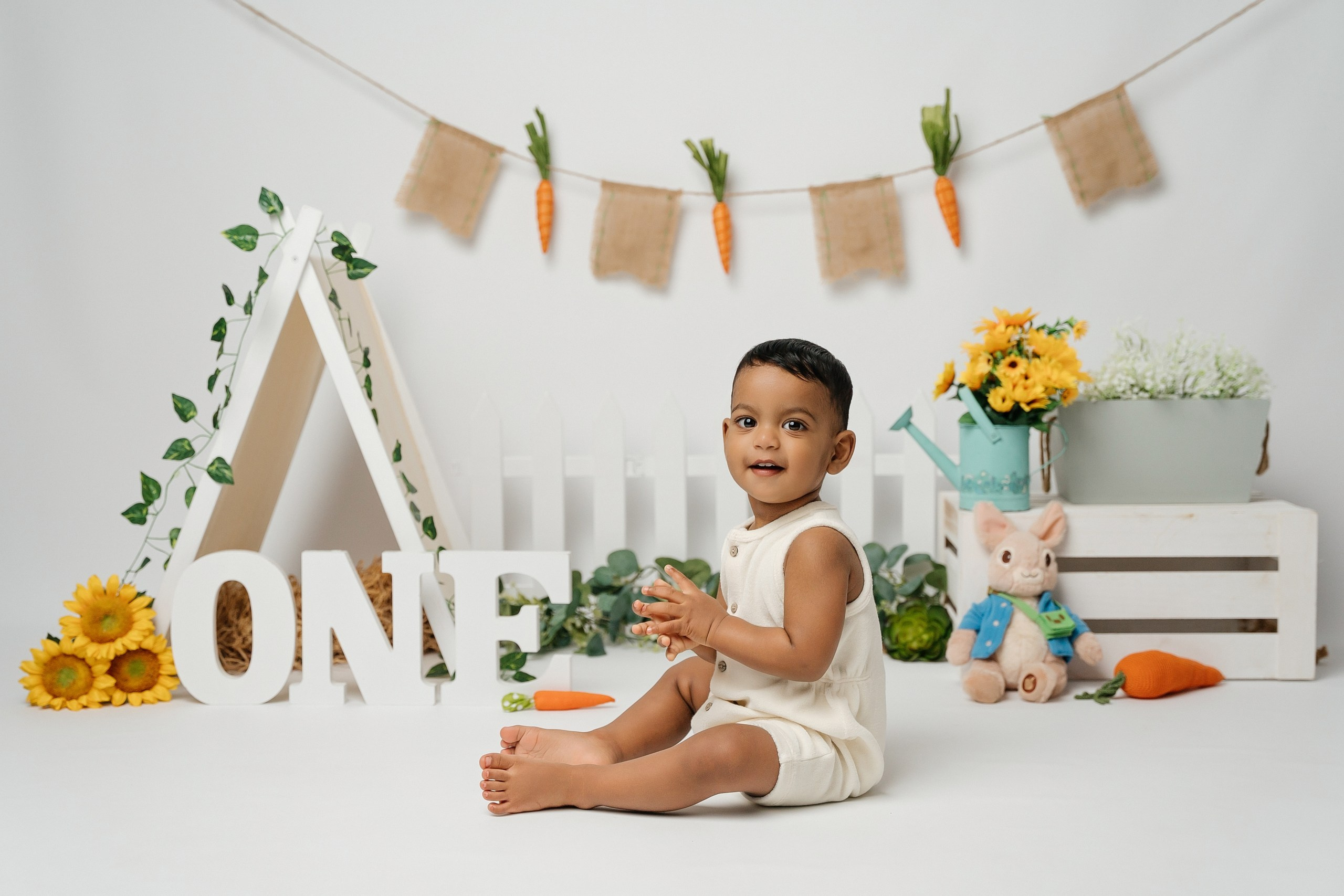 Peter rabbit cake smash session. Newborn and family photographer. Hills District. Sydney