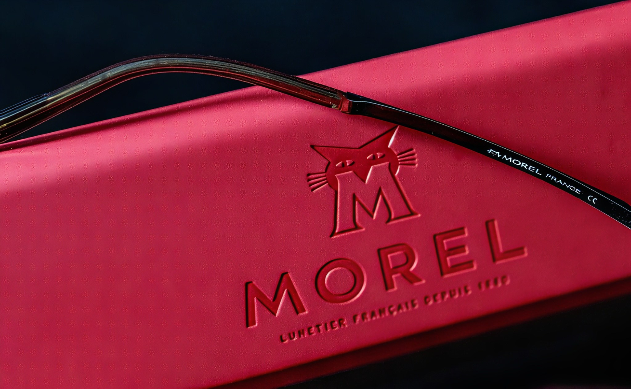 MOREL ОЧКИ. LUKIN IGOR Photography