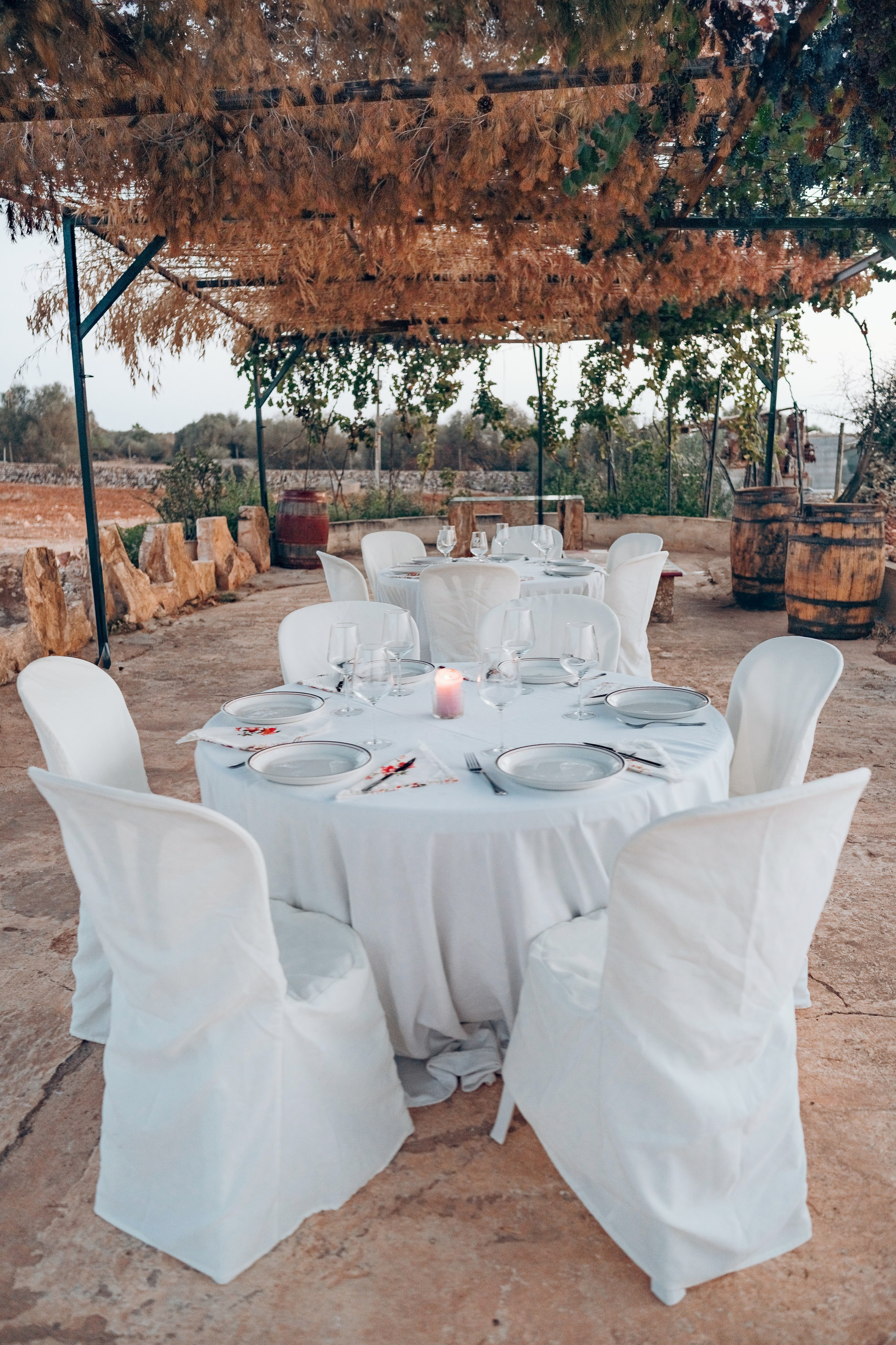 Bodega. Photographer in Mallorca