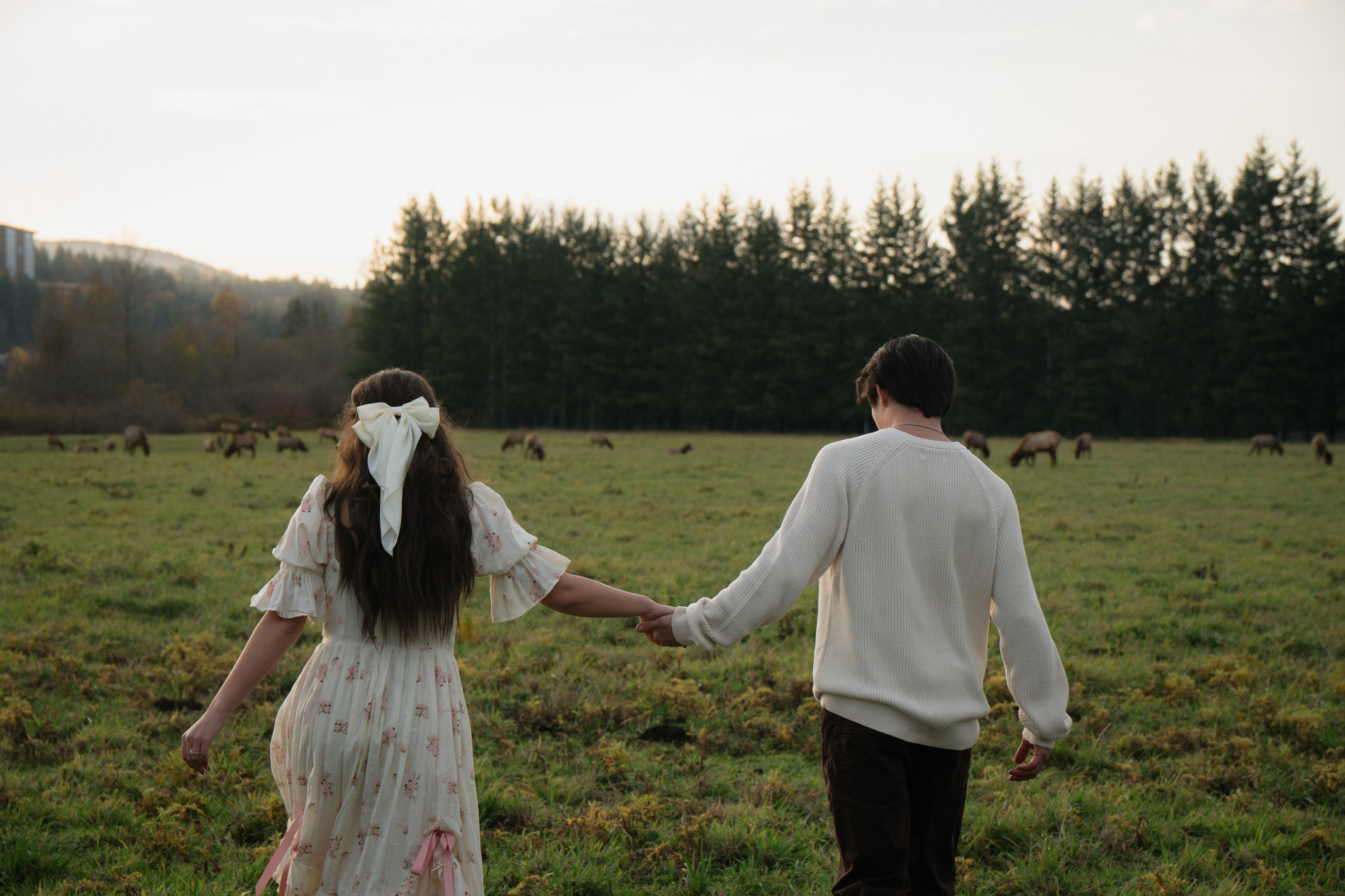 Scenic Photo Spots (~1 Hour from Seattle). Photographer in Washington Sophia D
