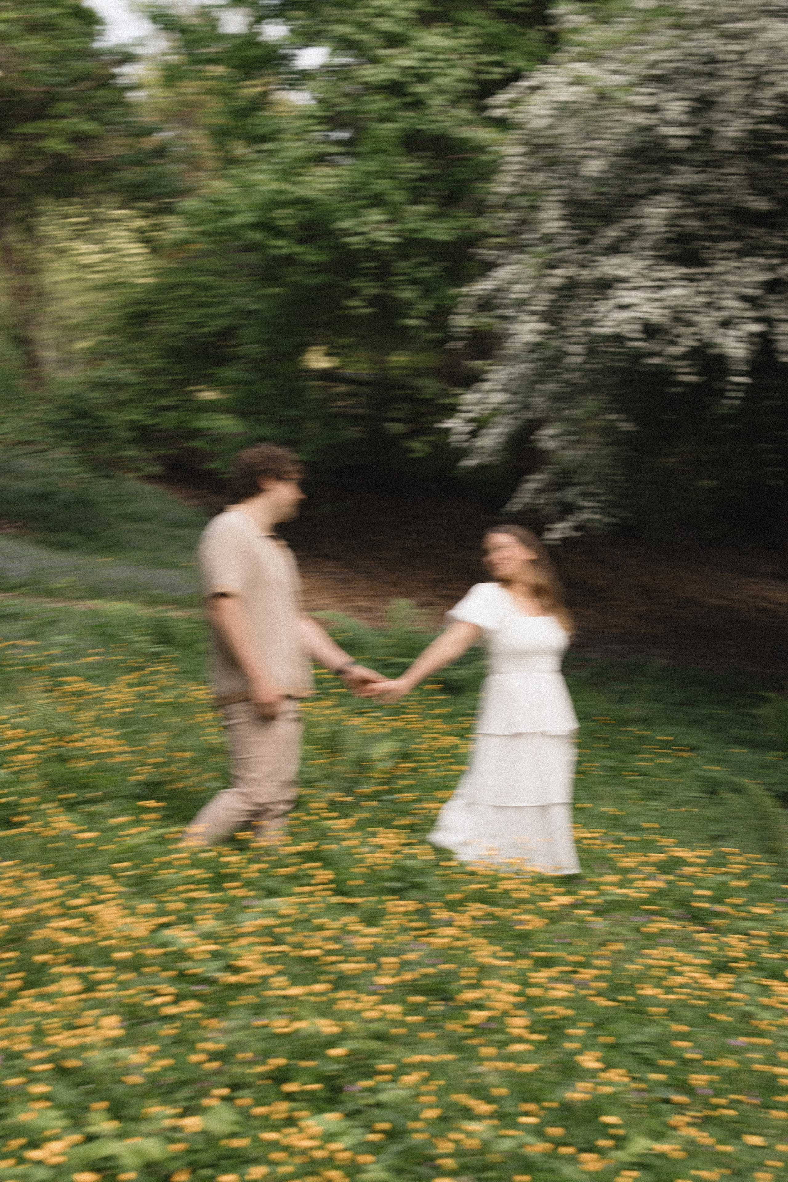 My Favorite Green Spaces & Parks Around Seattle. Photographer in Washington Sophia D