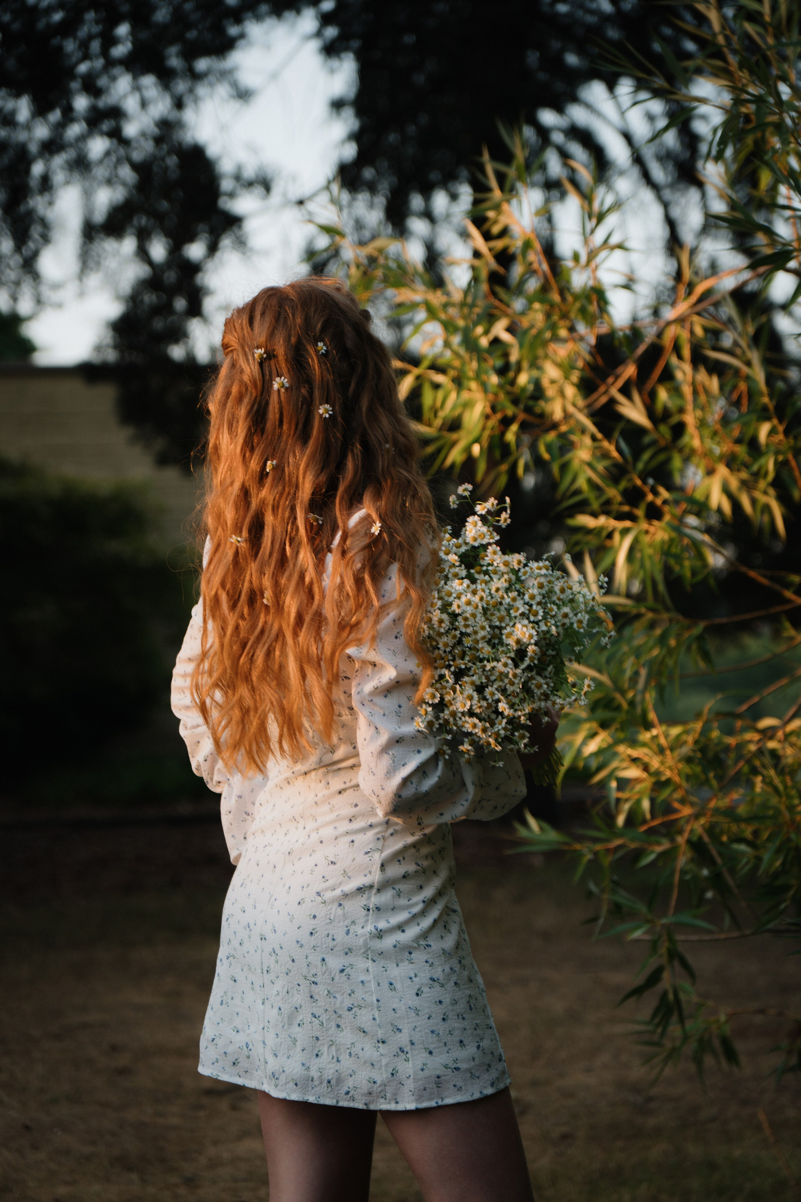 My Favorite Green Spaces & Parks Around Seattle. Photographer in Washington Sophia D