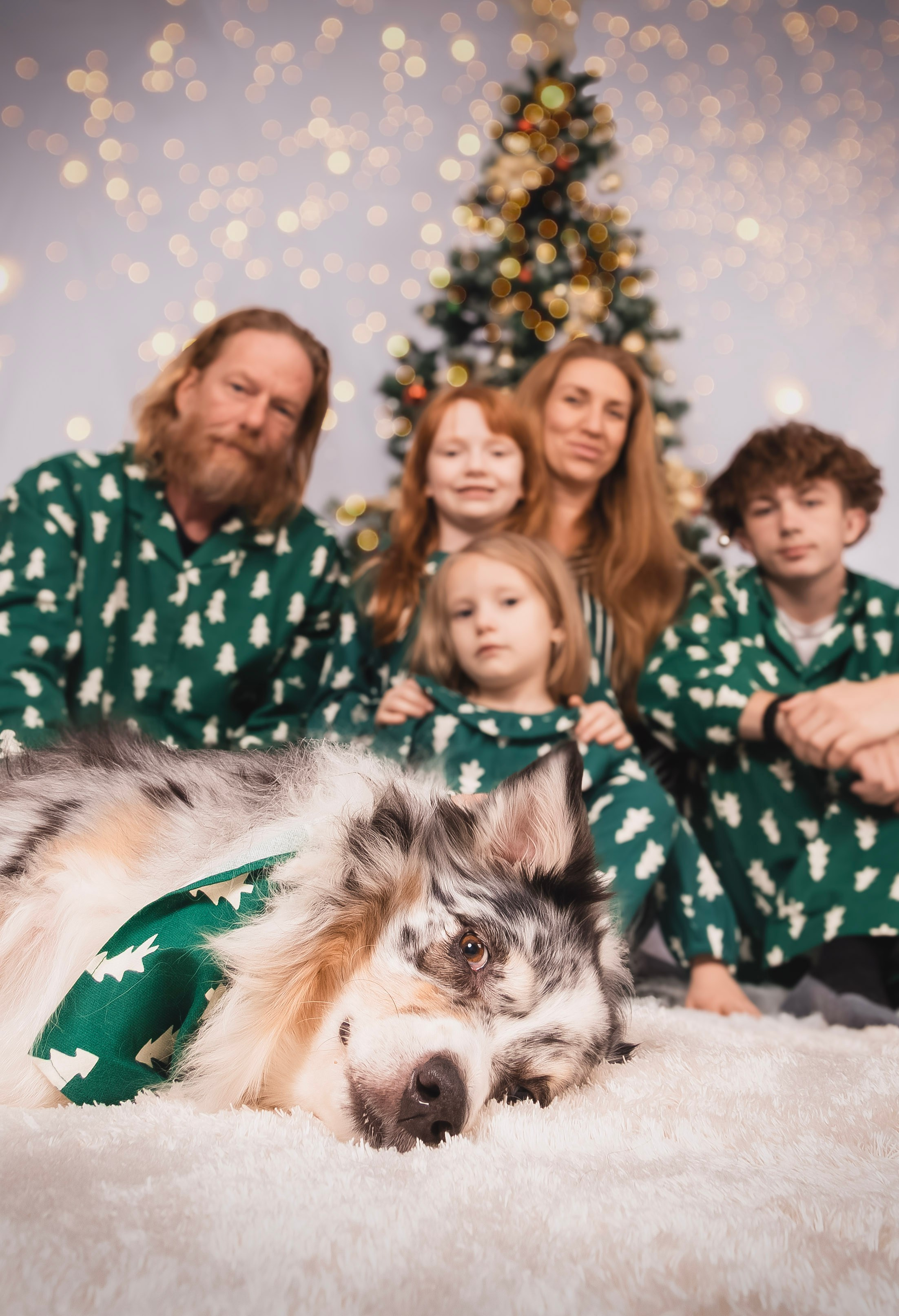 Holiday Mini Sessions — perfect for your Christmas cards!. Photographer in Port Jefferson
