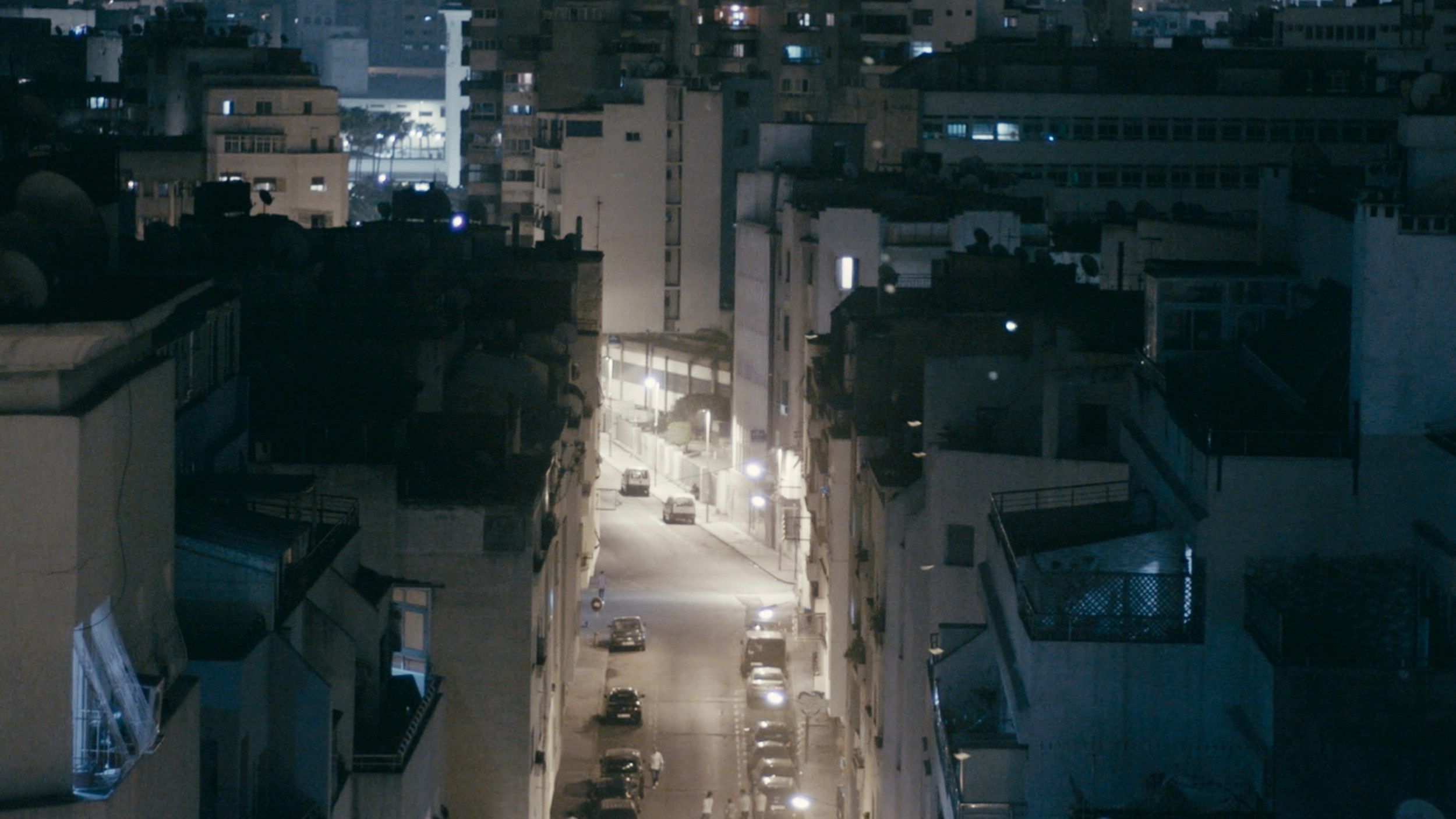 Haqiqa. Singularity Film