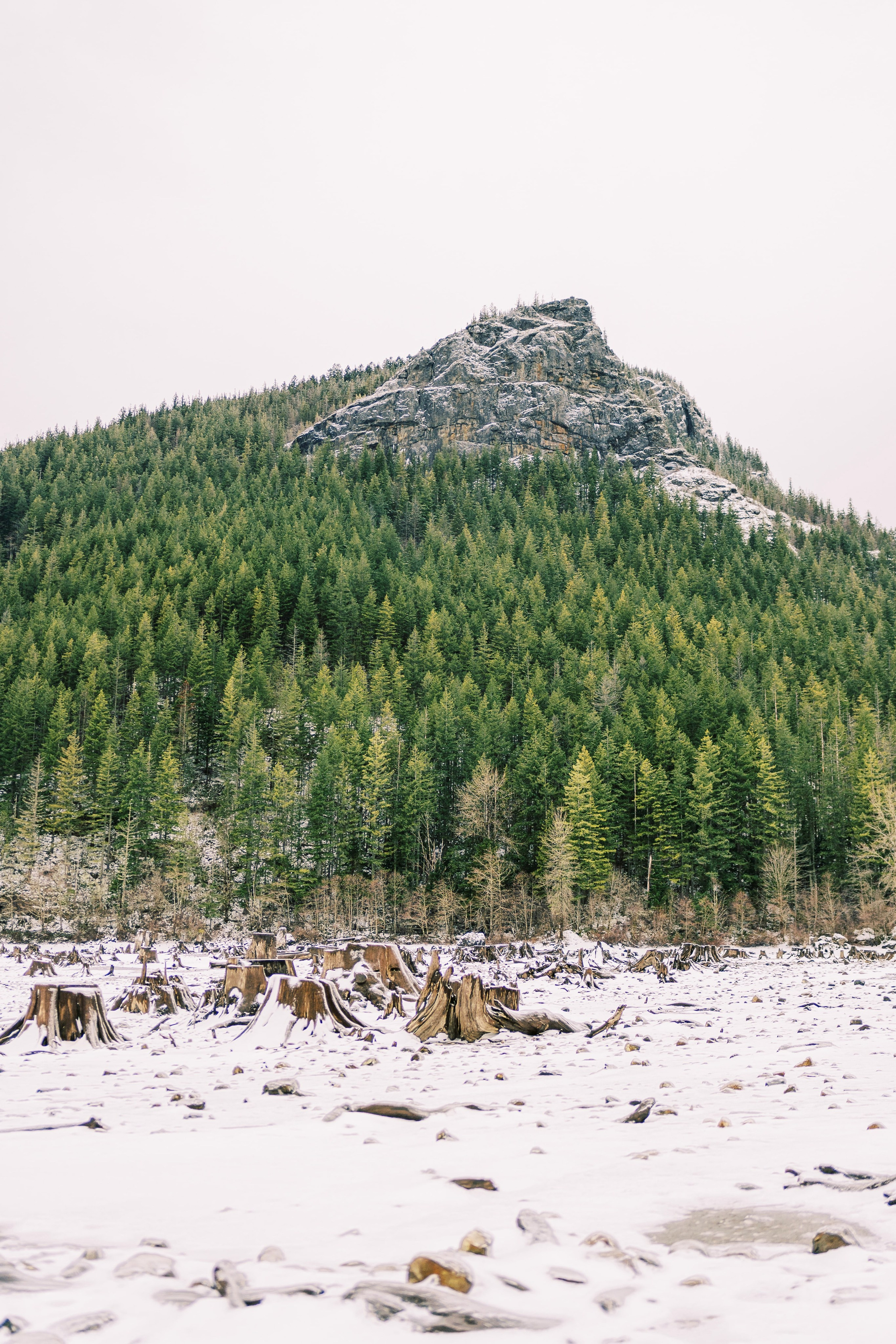 Irina & Bogdan / January 2024. Rattlesnake Lake, WA. EVAN ARISTOV WEDDING PHOTOGRAPHY — Seattle Wedding Photographer
