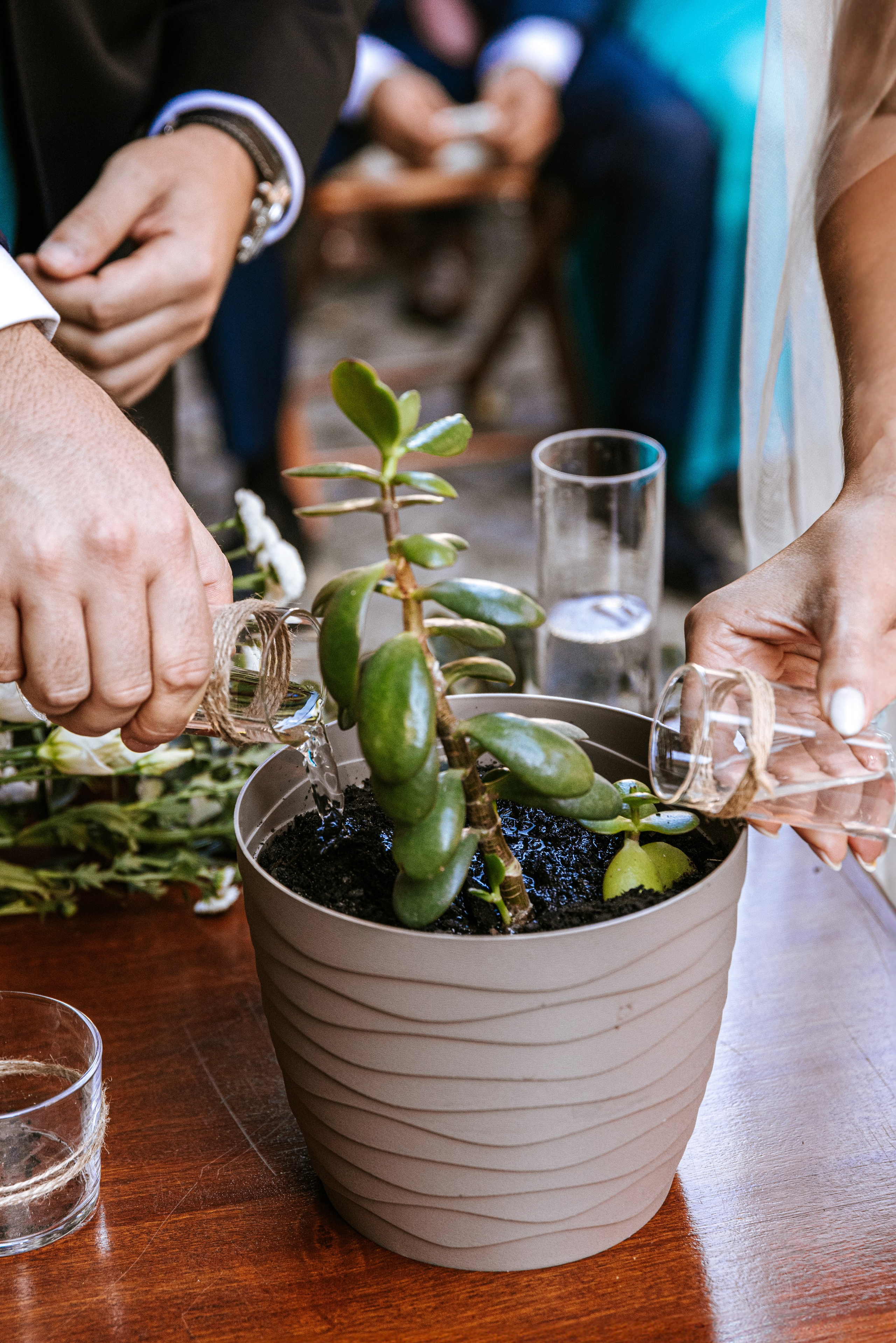 Galeria e Filme de Casamento — Cláudia & Rodrigo — Challet Fonte Nova. Luxury Wedding Photography & Cinematic Films | Portugal & Destination Weddings | Ricardo & Mary Pictures