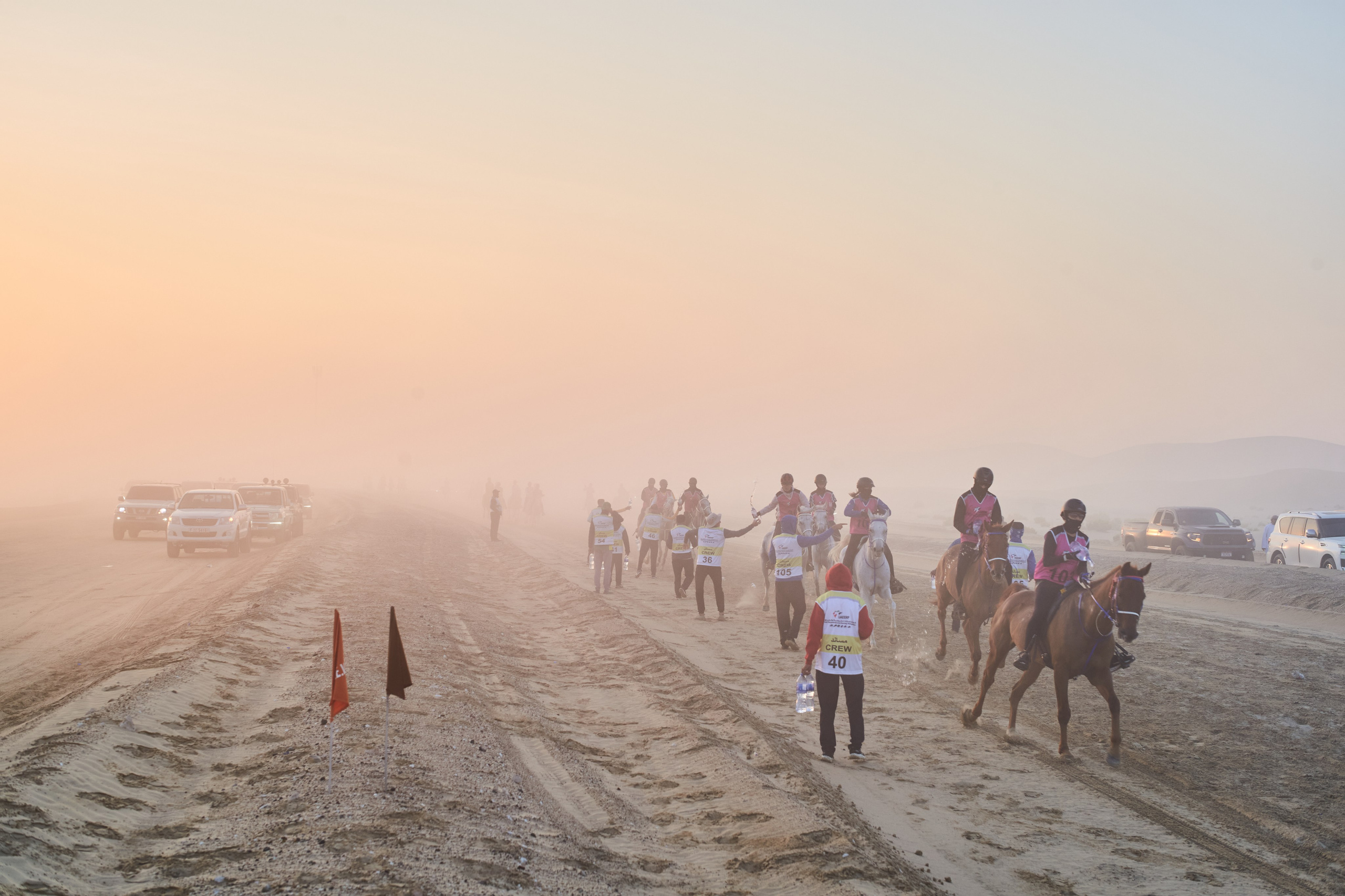 ENDURANCE HORSE RACING. Grigoriy Yaroshenko photography | Фотограф Григорий Ярошенко