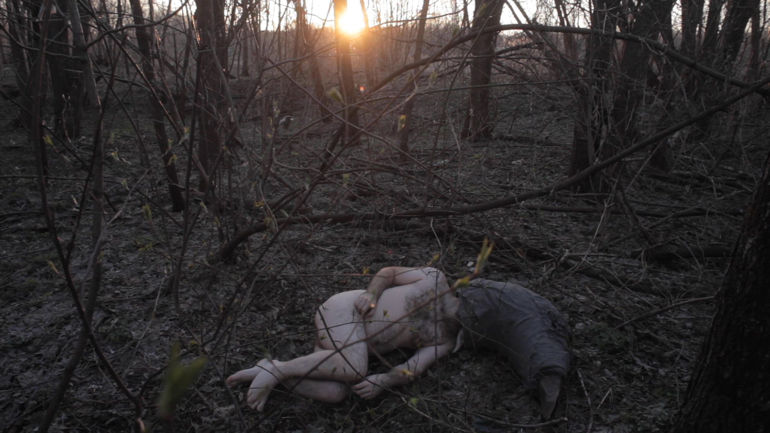 Video. Haim Sokol’s artists website