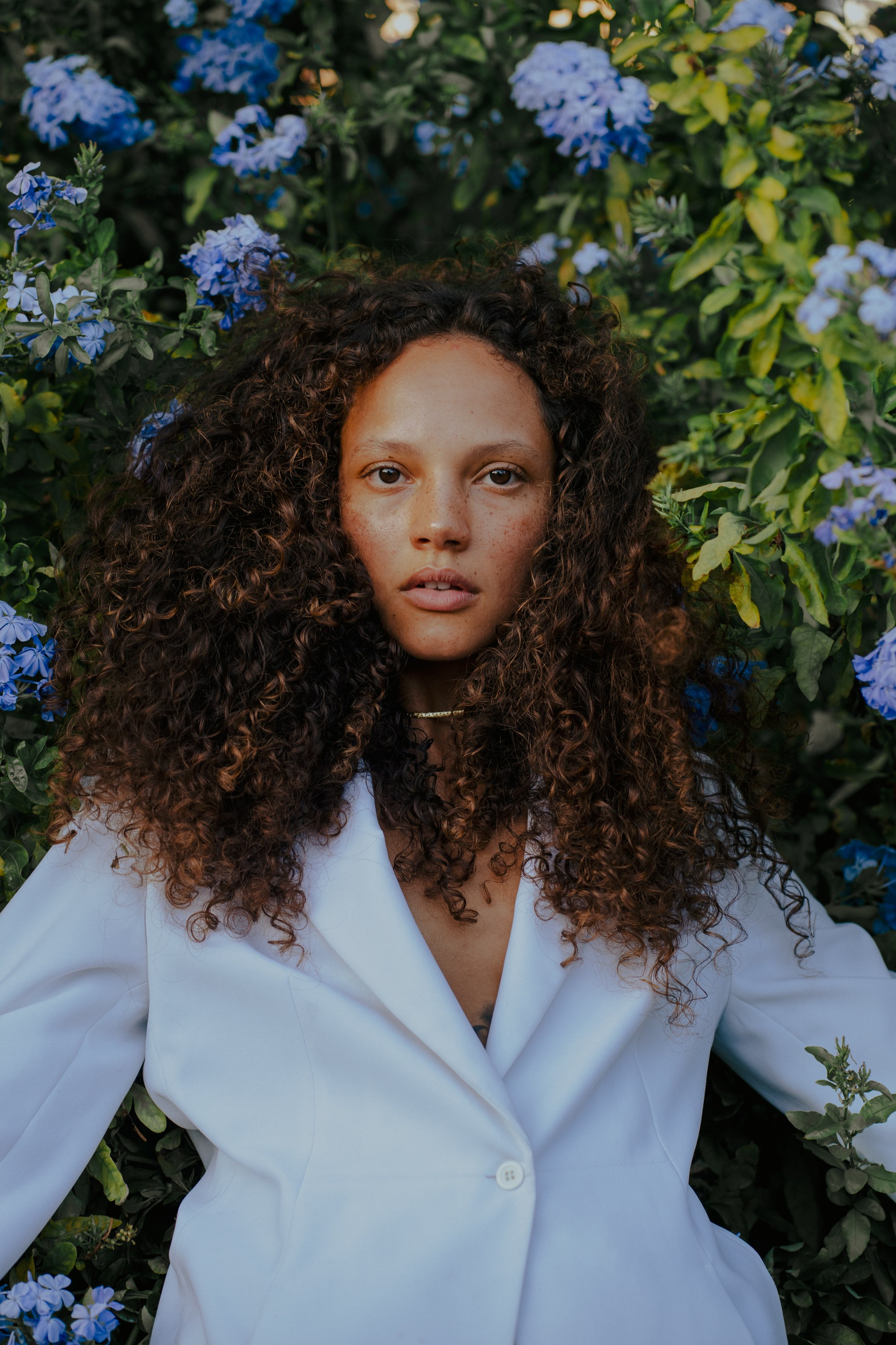 Обзор. Лило Даниелян | Visual artist