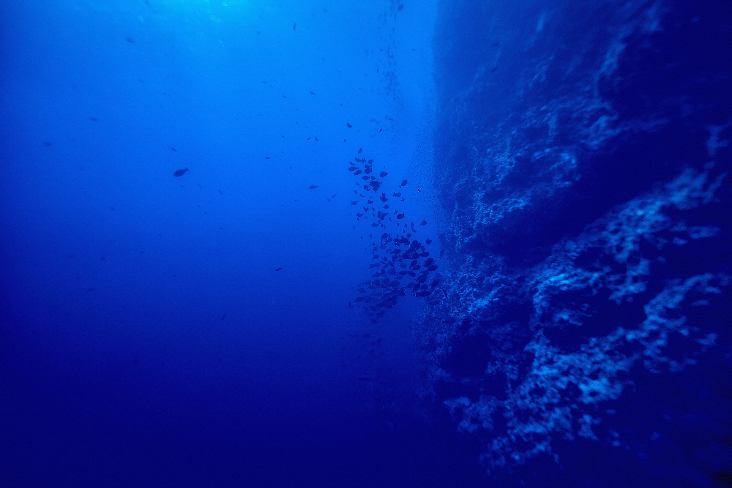 Wielka Niebieska Tajemnica. Andriej Szypilow — Photography & Videography