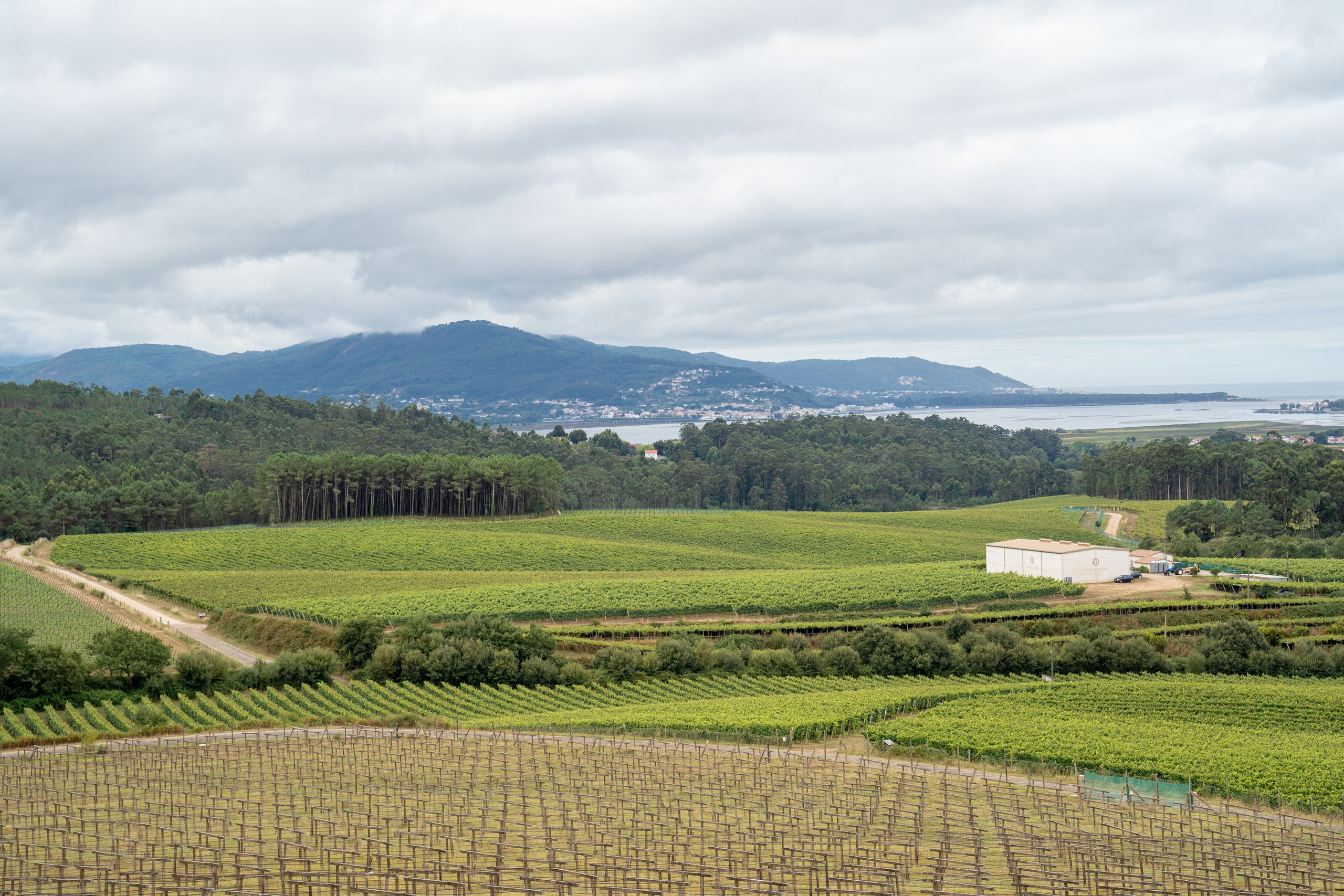Creative Inspiration for Photographers & Artists. Photos of Galicia. Photographer in Madrid, Spain. Alyona Belyaninova