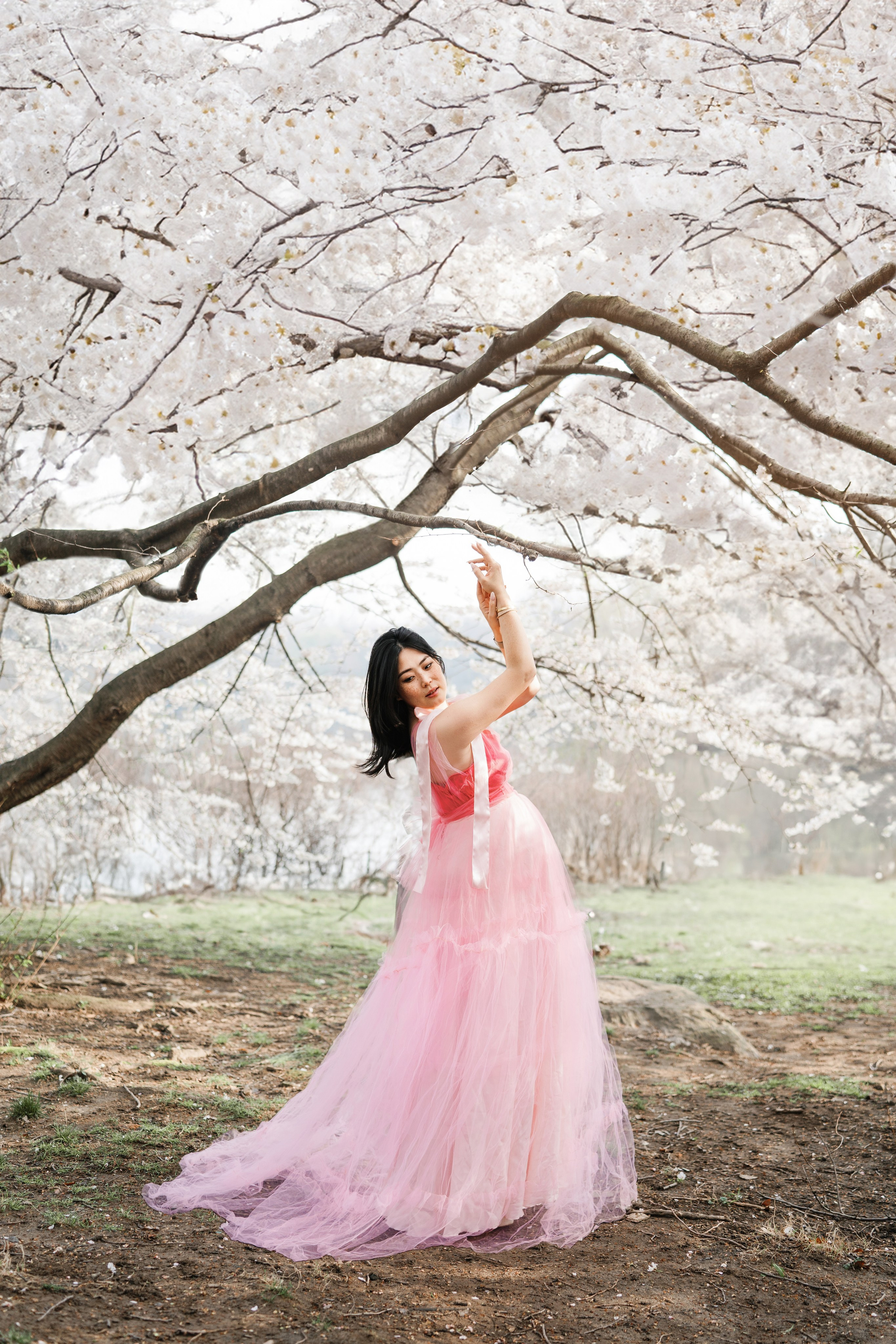 Sakura Photoshoot in New York. Photographer in New York Faery By Mary