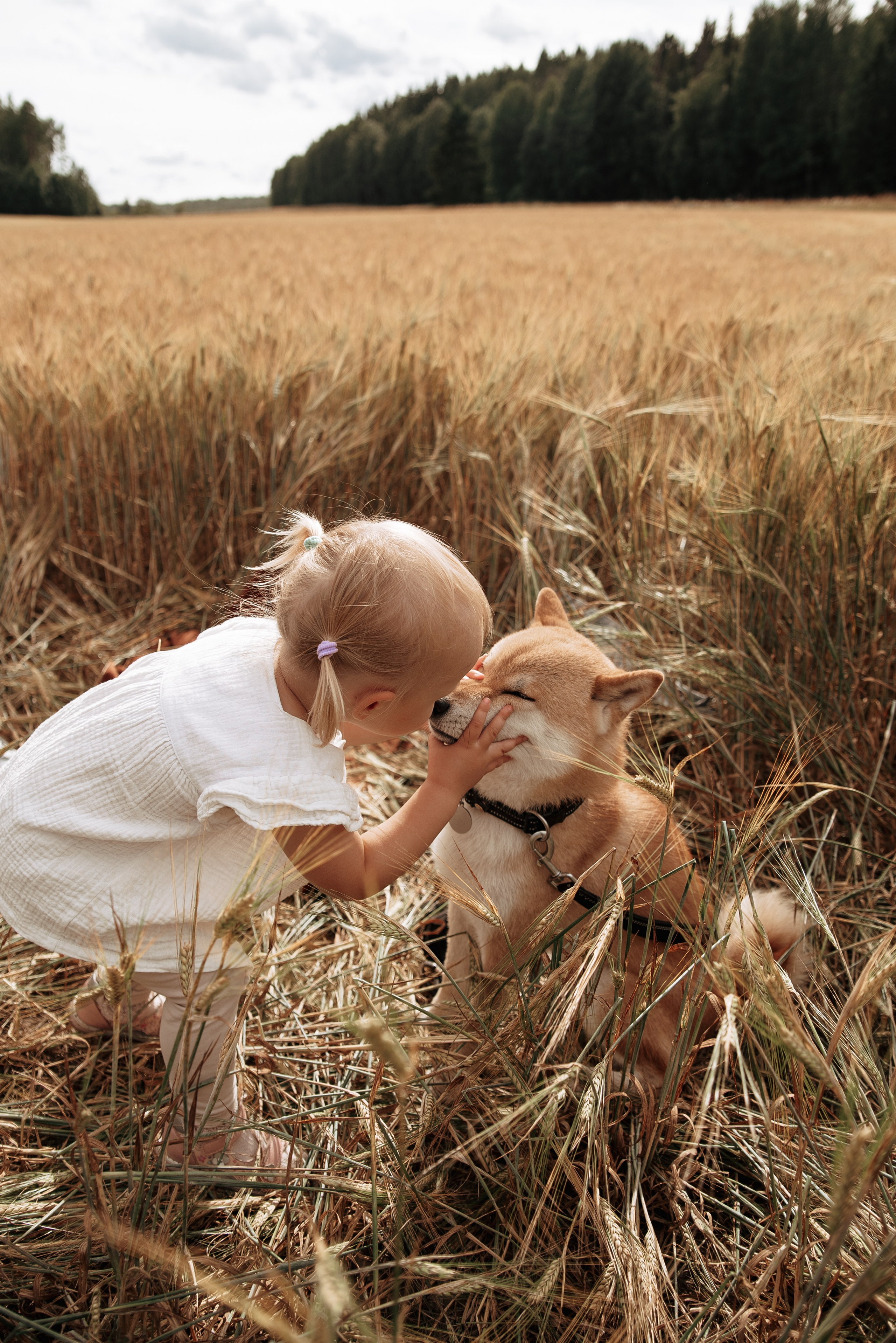 Aigul Photography — wedding, newborn, and family photographer