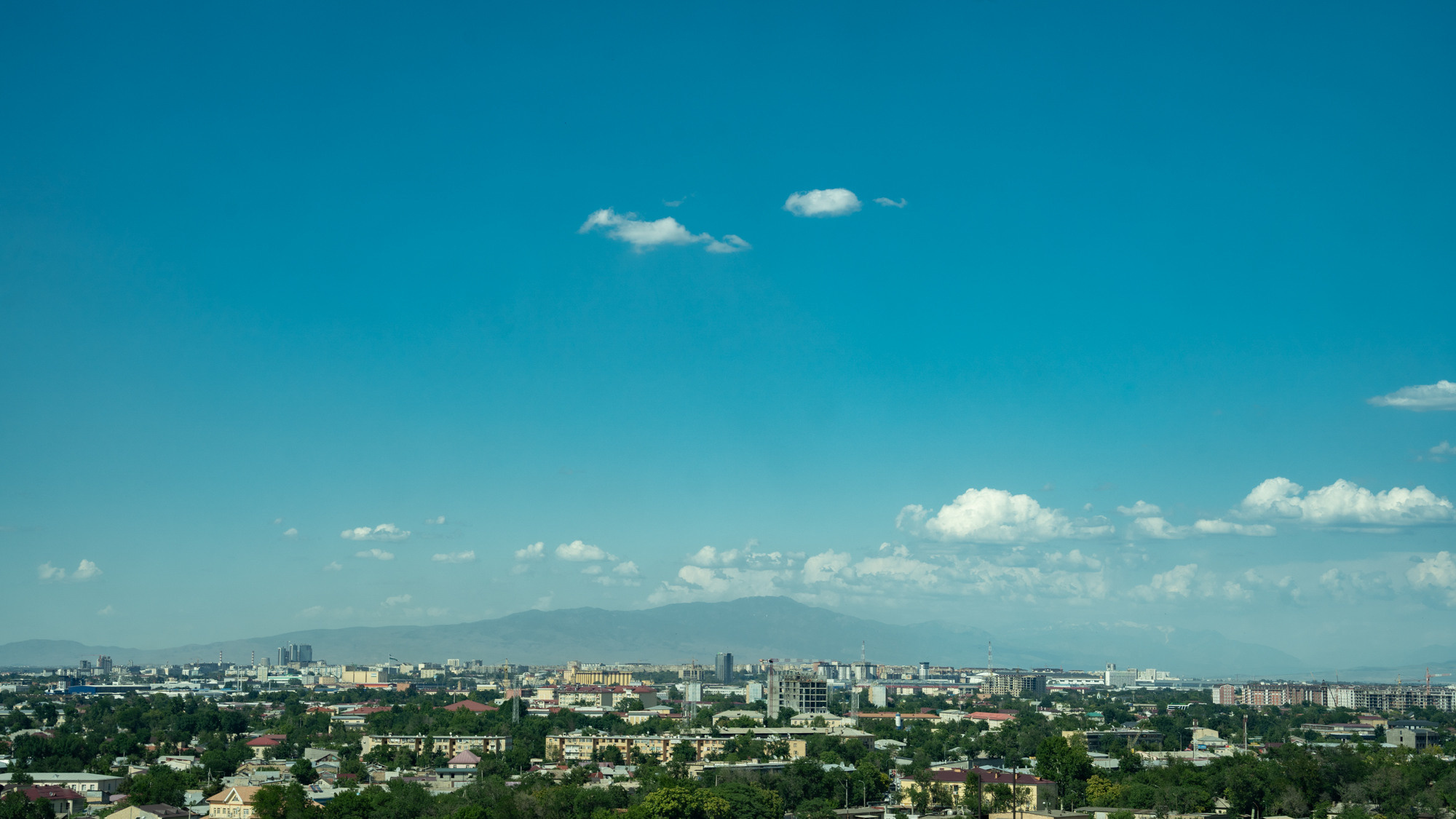 Sigma 24-70mm F2.8 DG DN Art (Sony E). Фотограф Григорий Кравец