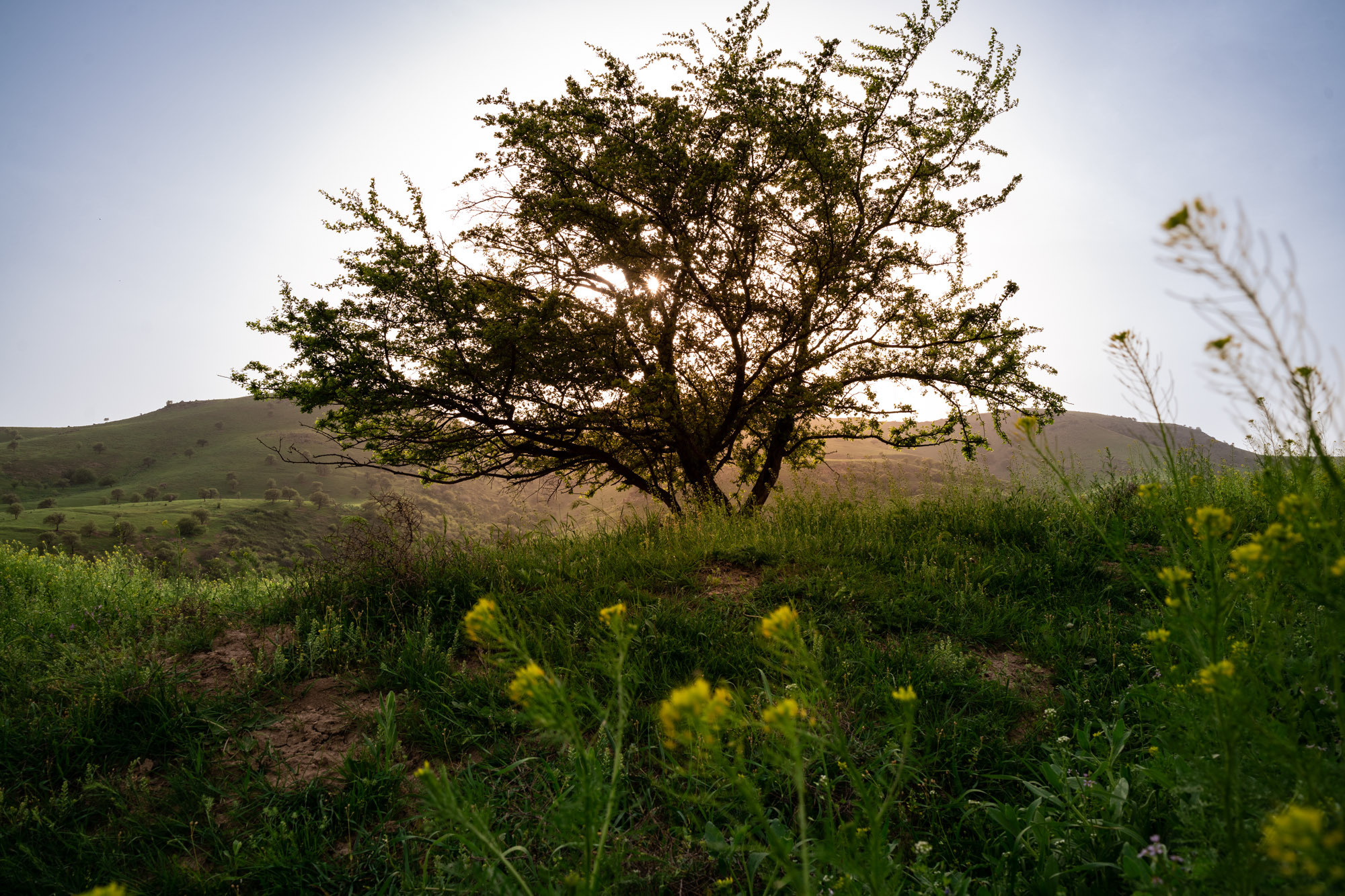 SIGMA 20 mm F/2.0 DG DN Contemporary. Фотограф Григорий Кравец