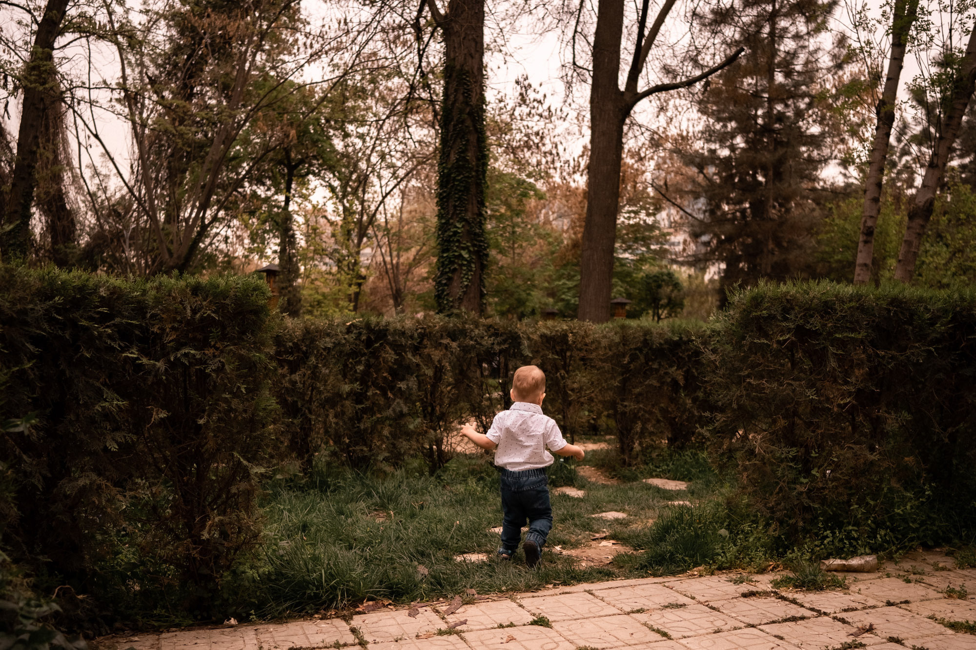 SIGMA 20 mm F/2.0 DG DN Contemporary. Фотограф Григорий Кравец