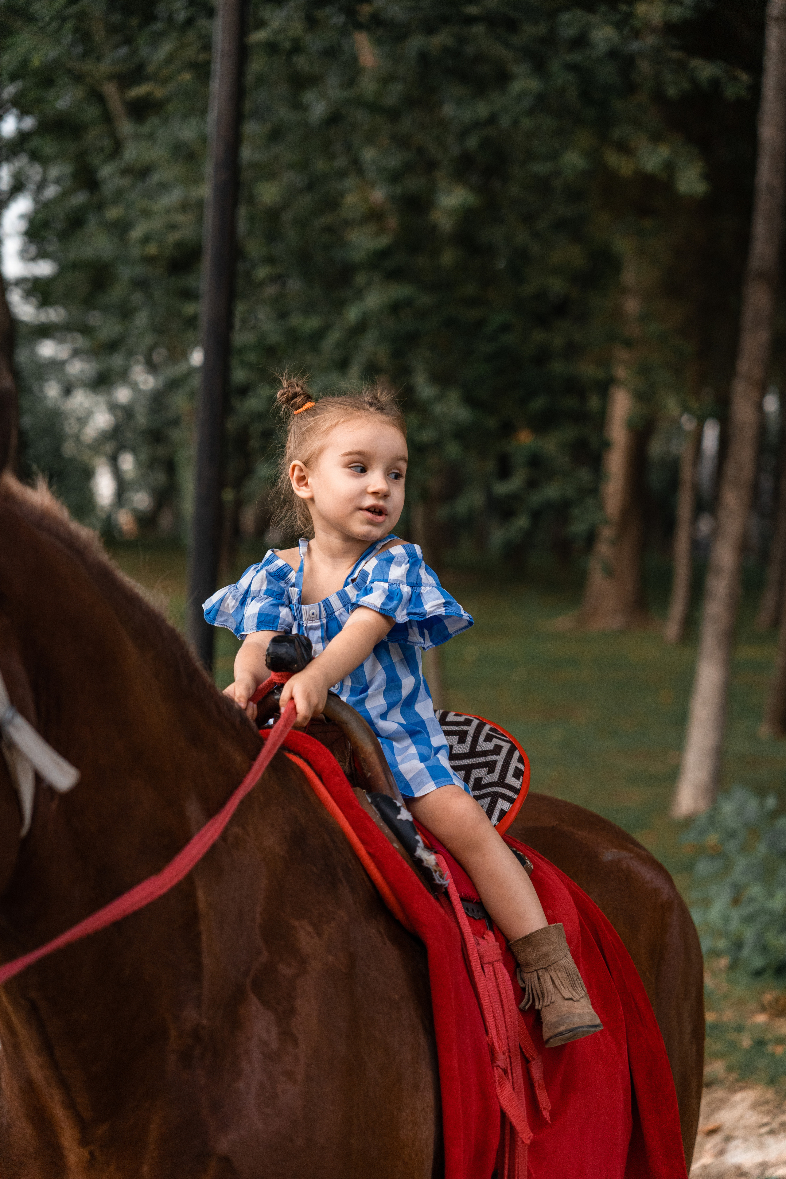 SIGMA 28-70 °F/2.8 DG DN Contemporary. Фотограф Григорий Кравец