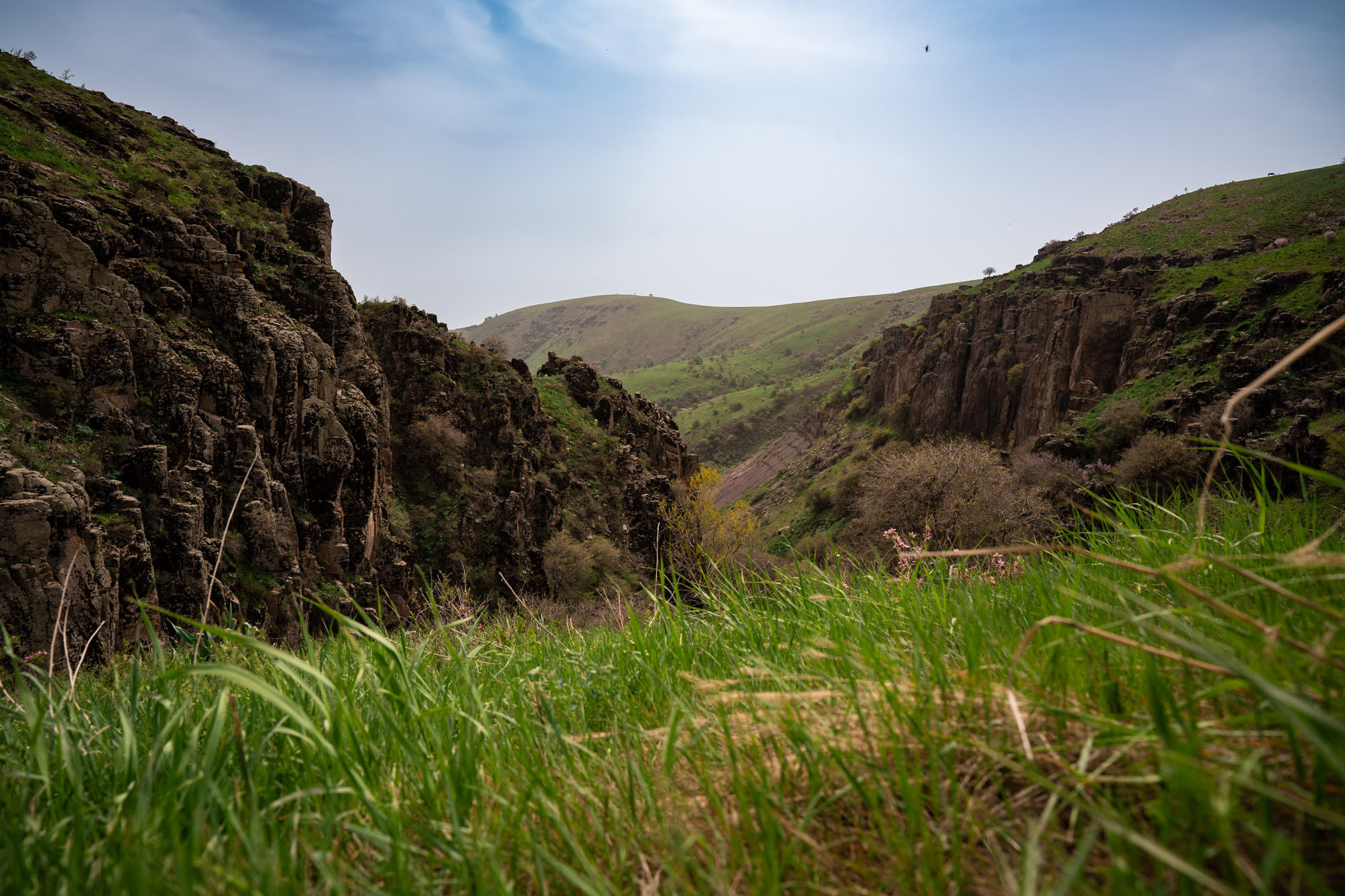 SIGMA 20 mm F/2.0 DG DN Contemporary. Фотограф Григорий Кравец