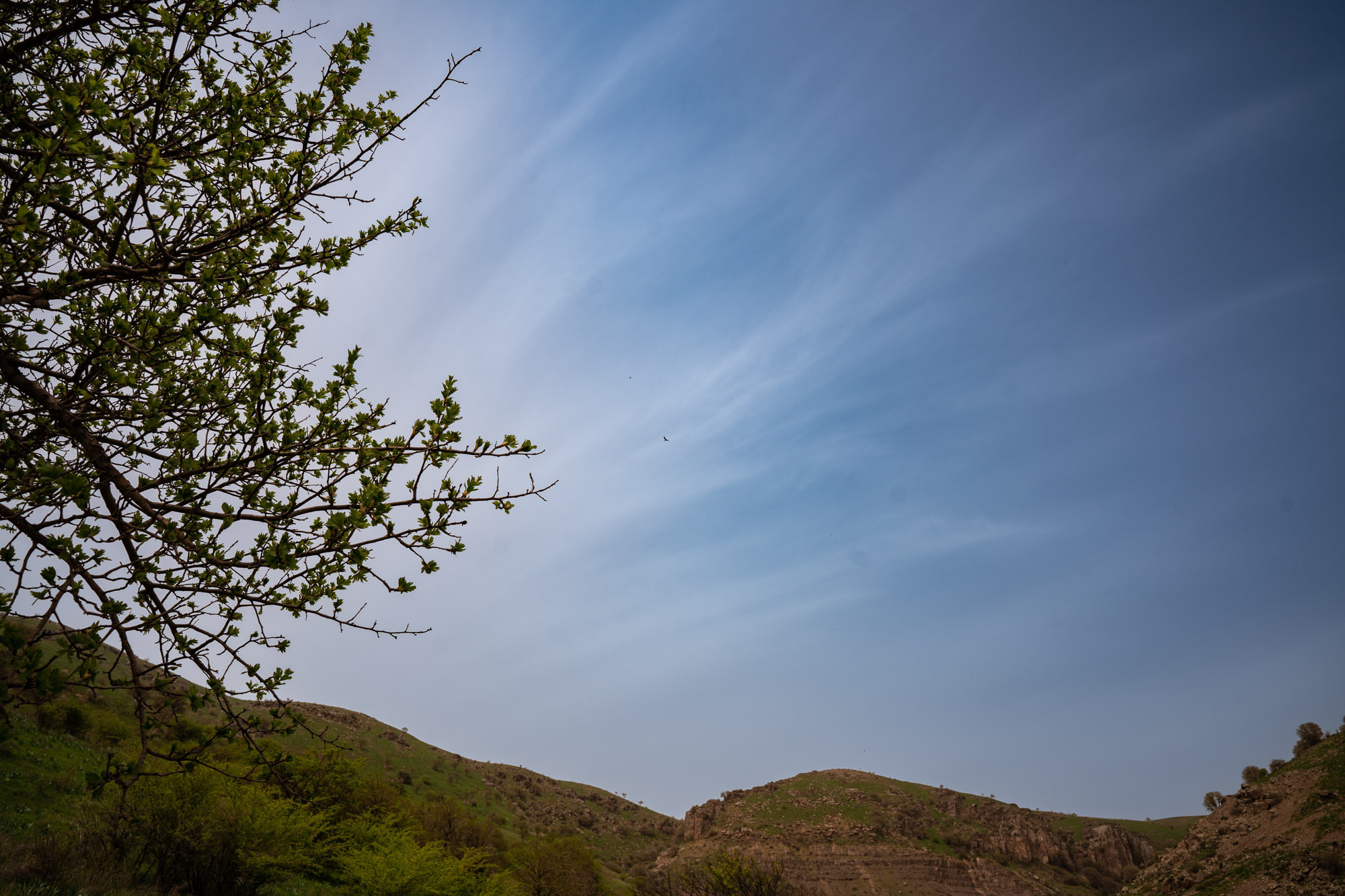 SIGMA 20 mm F/2.0 DG DN Contemporary. Фотограф Григорий Кравец