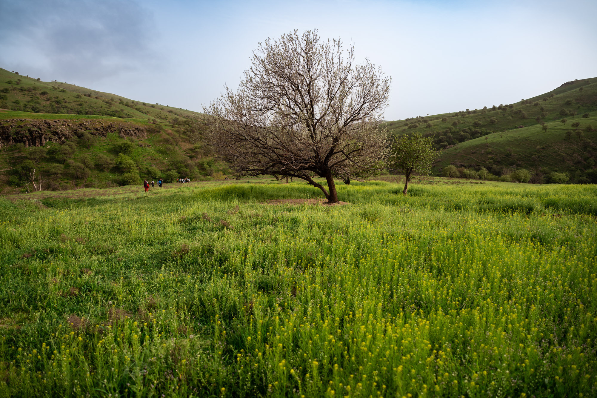 SIGMA 20 mm F/2.0 DG DN Contemporary. Фотограф Григорий Кравец