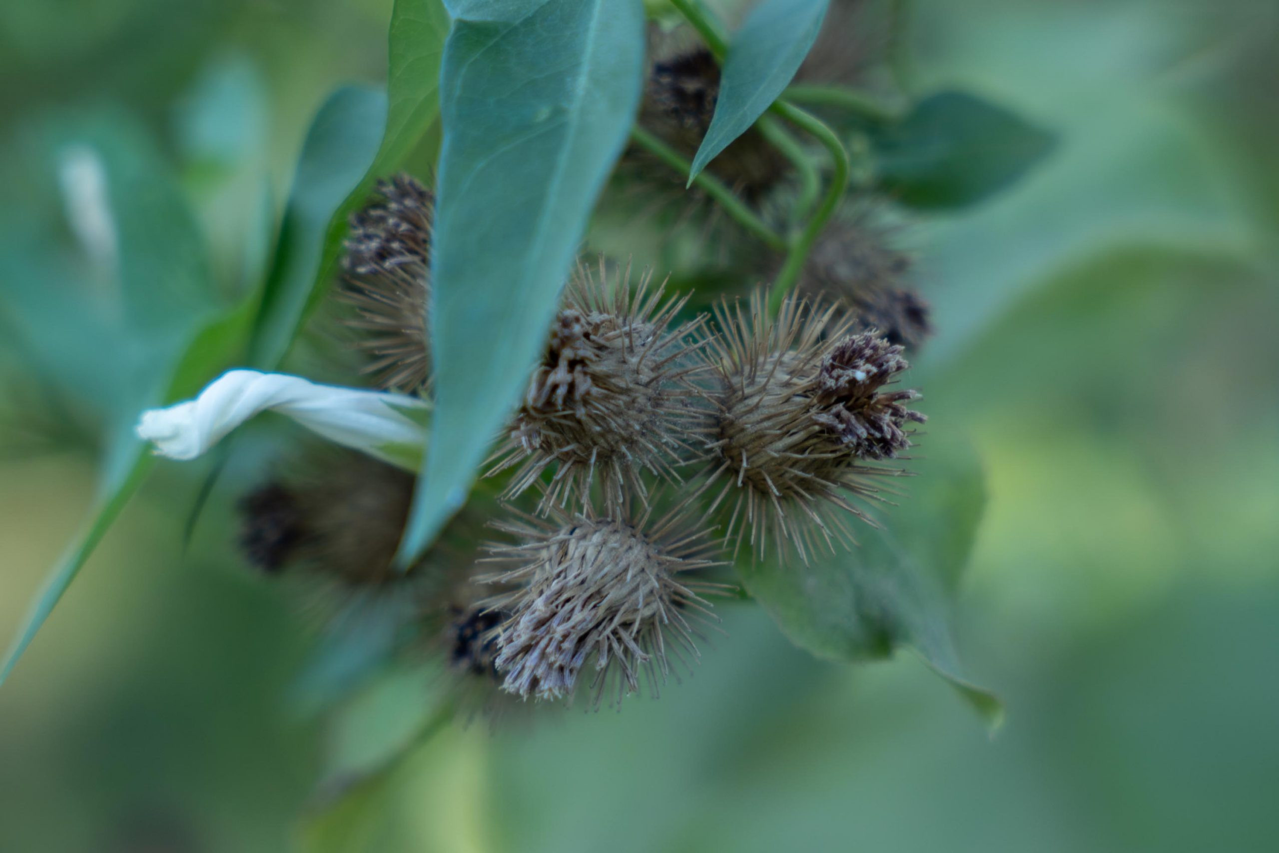 SIGMA 28-70 °F/2.8 DG DN Contemporary. Фотограф Григорий Кравец