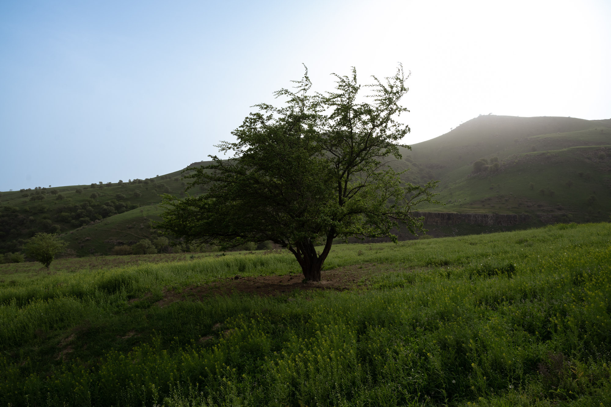 SIGMA 20 mm F/2.0 DG DN Contemporary. Фотограф Григорий Кравец