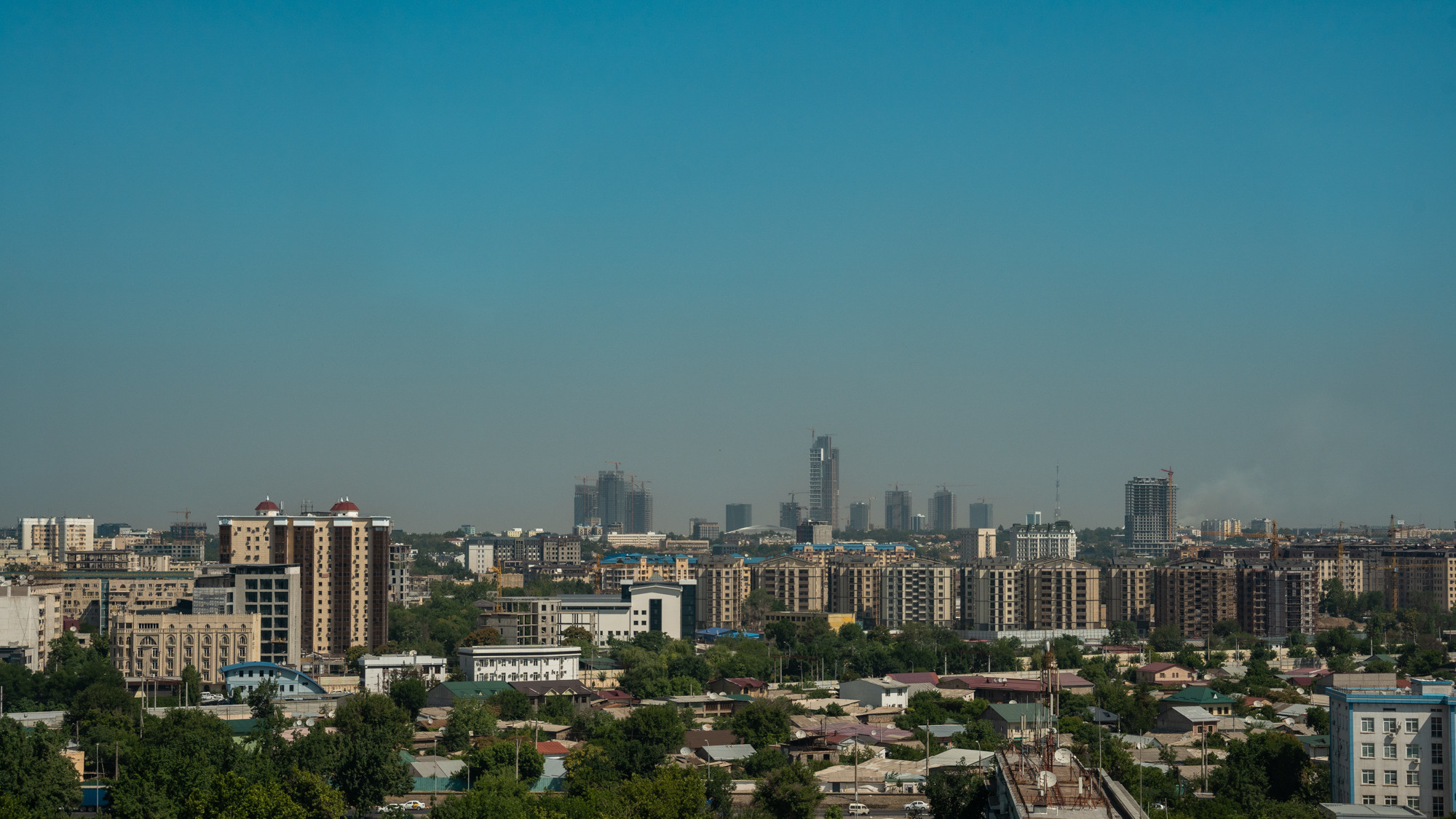 Sigma 24-70mm F2.8 DG DN Art (Sony E). Фотограф Григорий Кравец