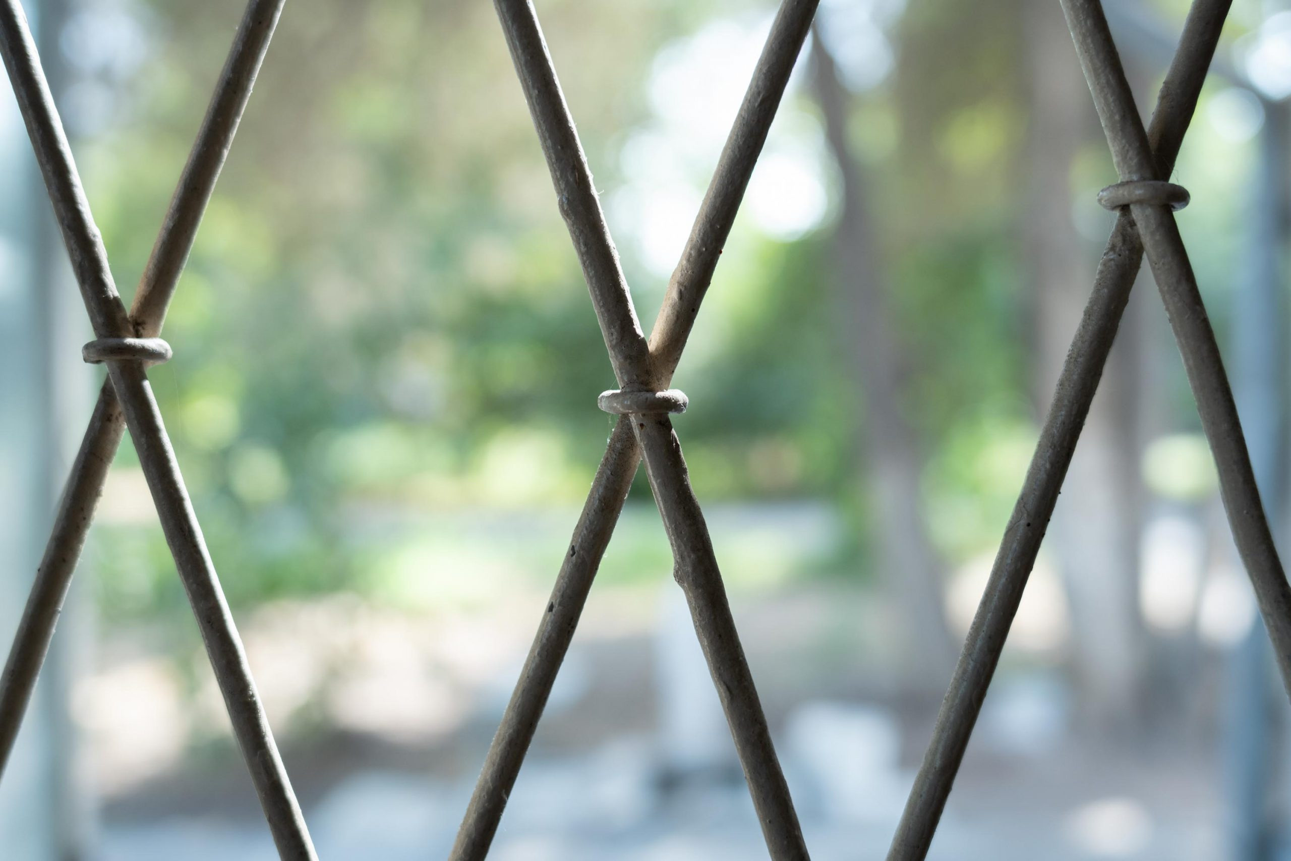 SIGMA 28-70 °F/2.8 DG DN Contemporary. Фотограф Григорий Кравец