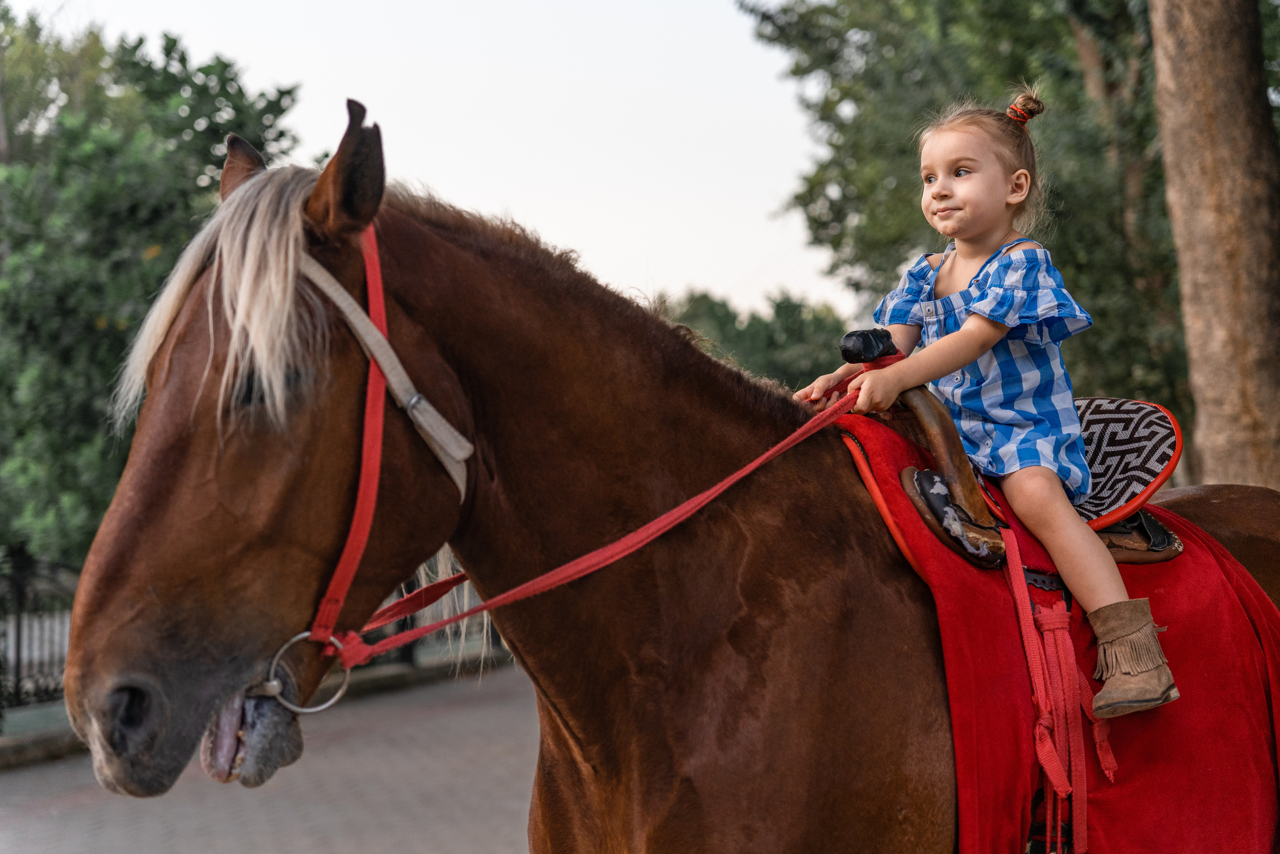 SIGMA 28-70 °F/2.8 DG DN Contemporary. Фотограф Григорий Кравец