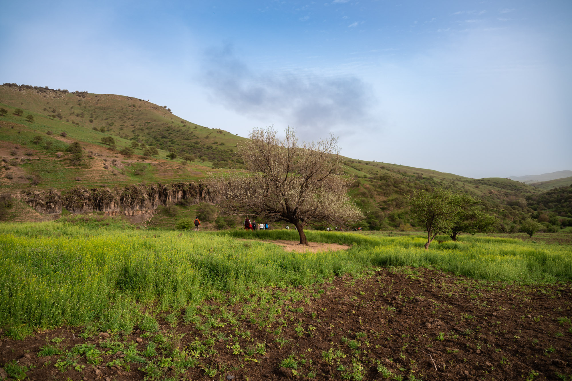 SIGMA 20 mm F/2.0 DG DN Contemporary. Фотограф Григорий Кравец