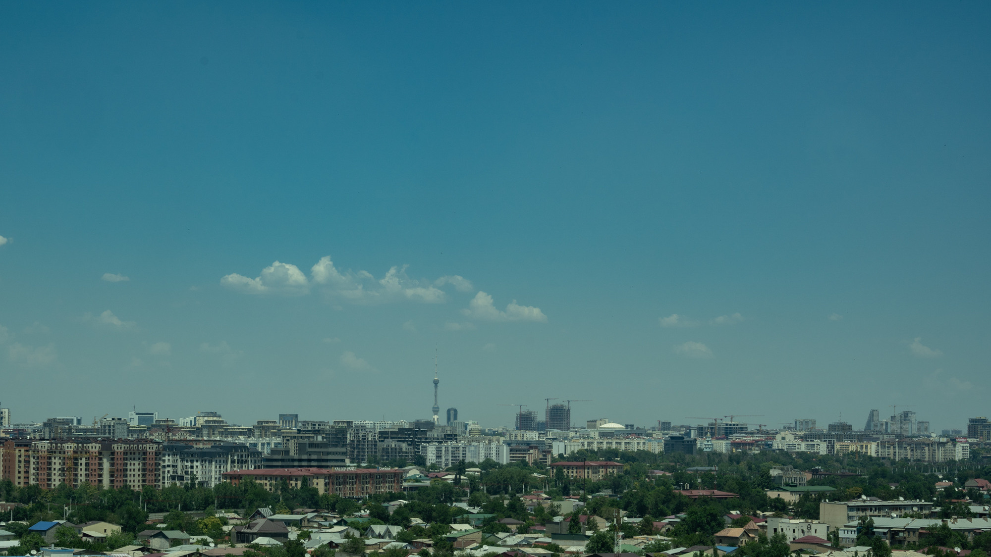 Sigma 24-70mm F2.8 DG DN Art (Sony E). Фотограф Григорий Кравец