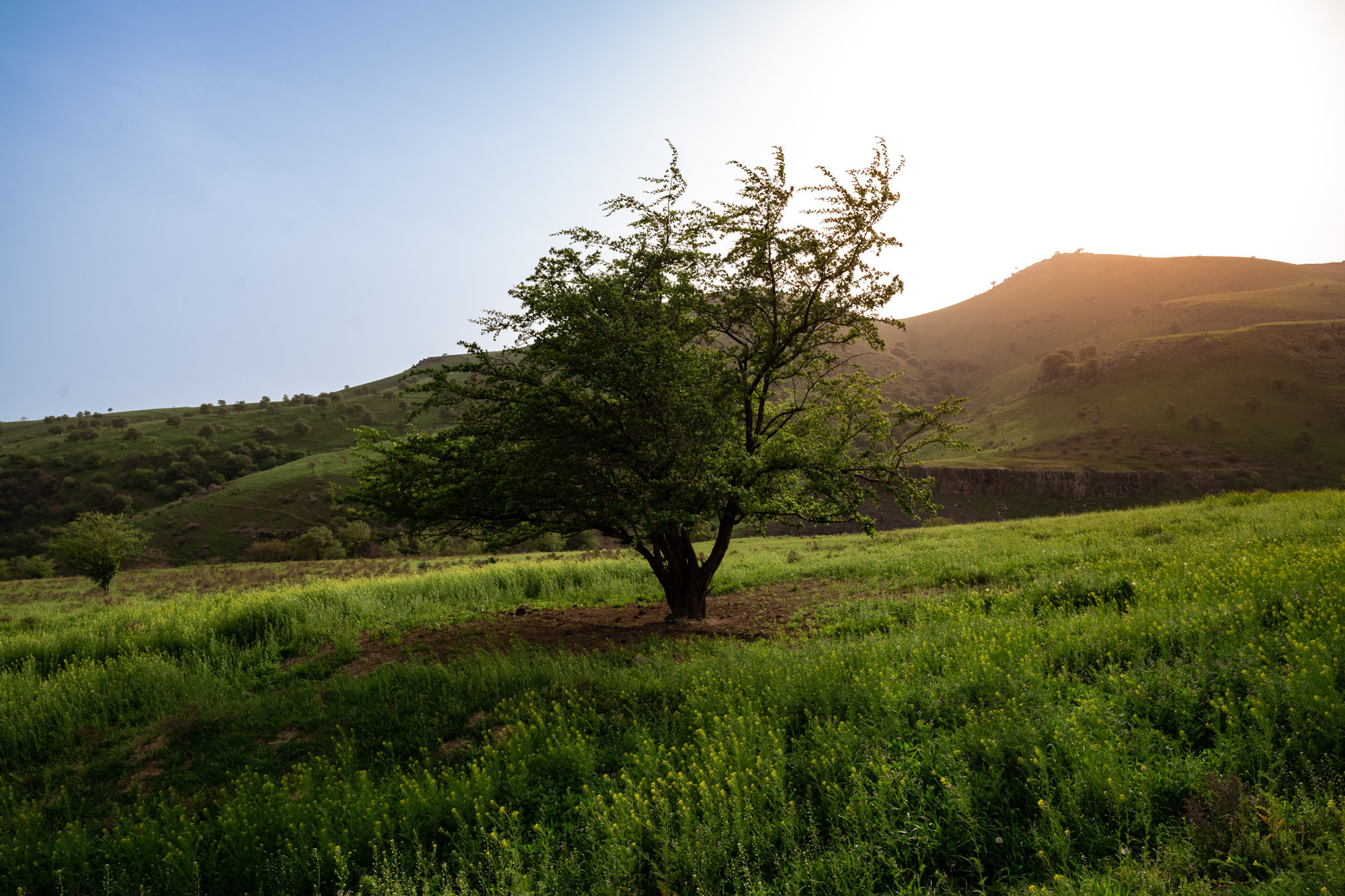 SIGMA 20 mm F/2.0 DG DN Contemporary. Фотограф Григорий Кравец