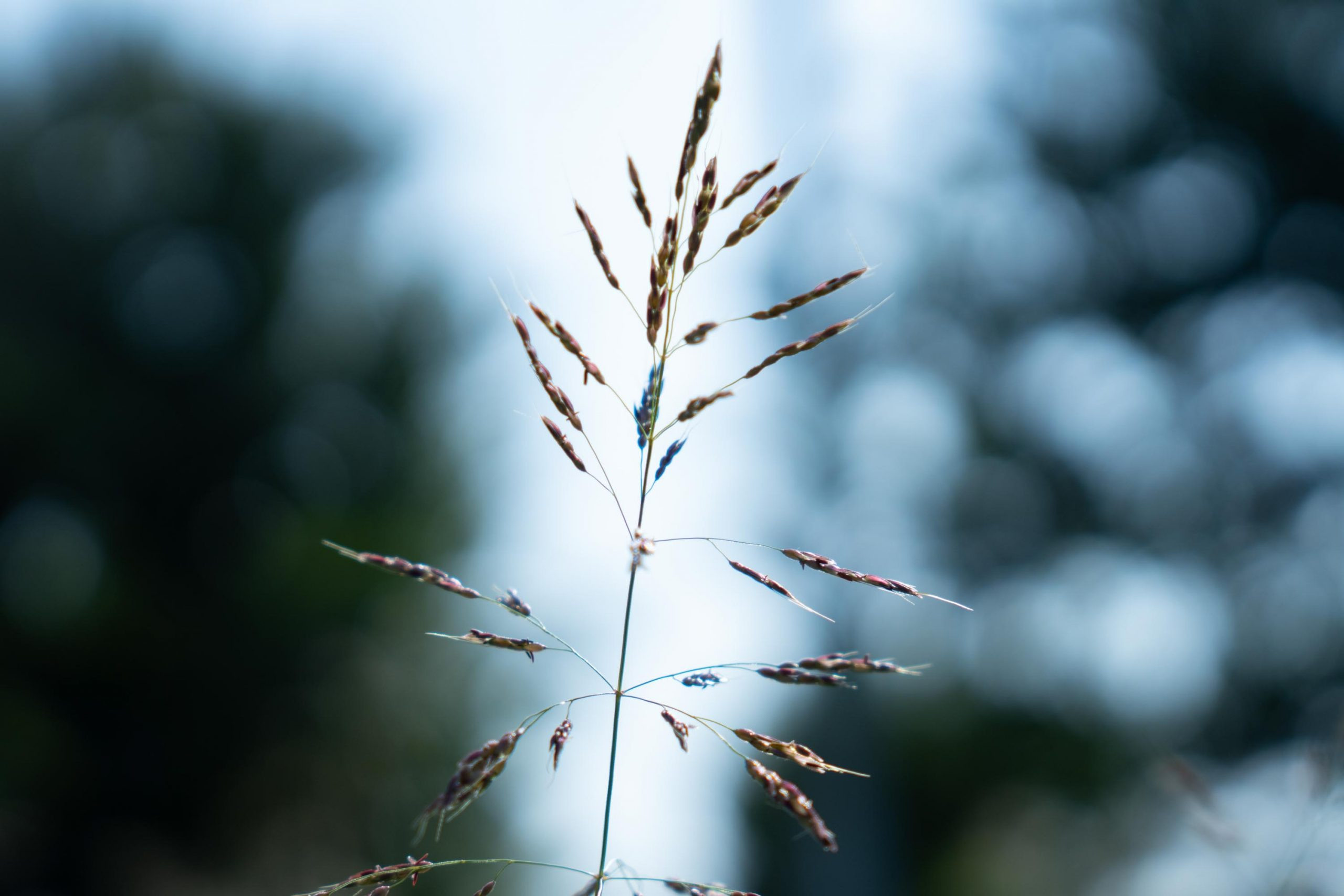 SIGMA 28-70 °F/2.8 DG DN Contemporary. Фотограф Григорий Кравец