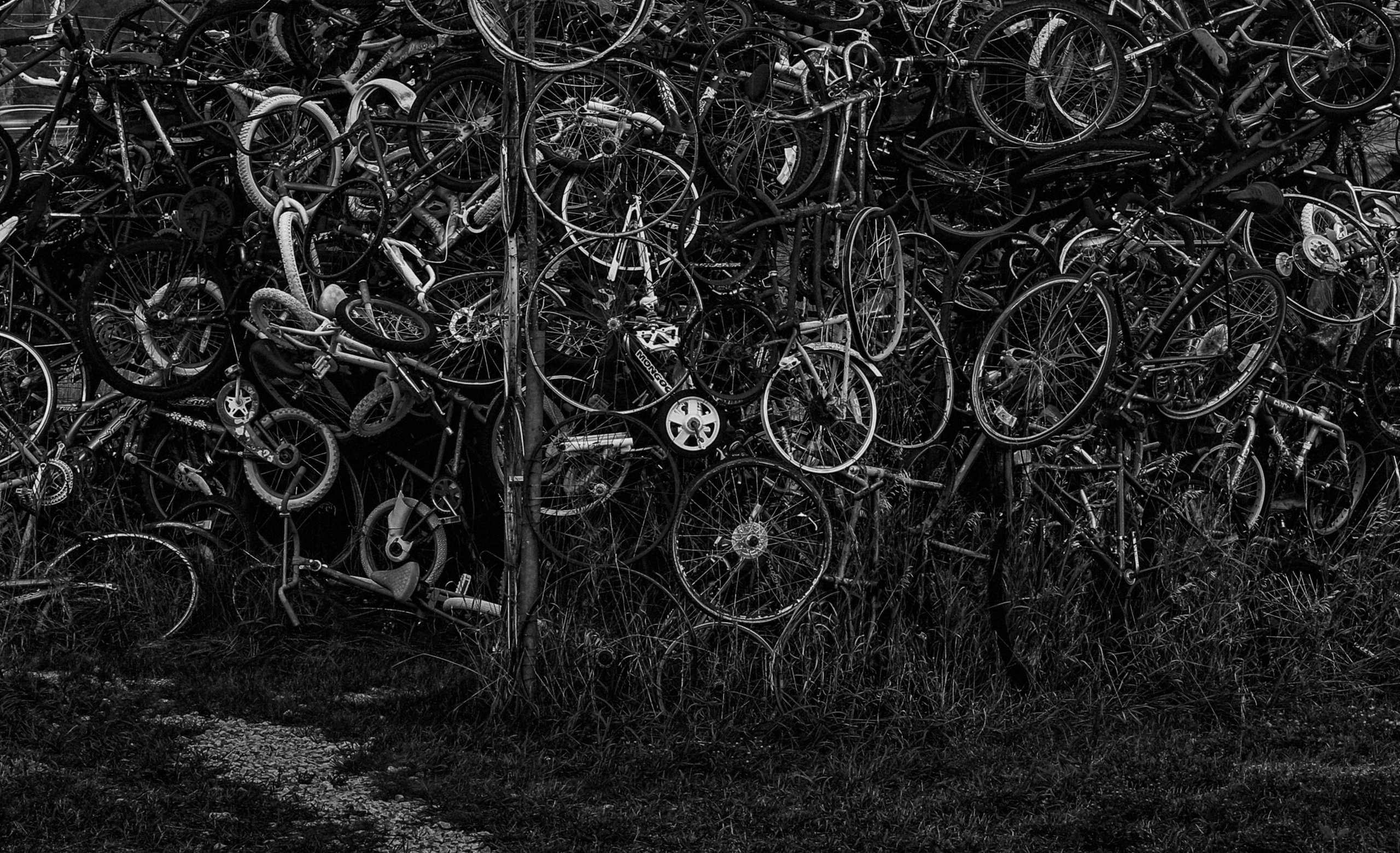 Project In The Rear View Mirror. Helen McLain Photography