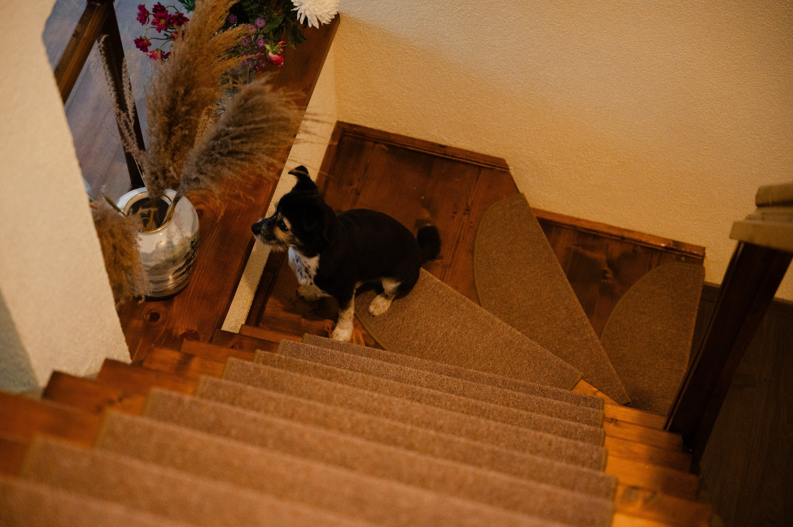 Sándor & Éva - Nunta in Viscri